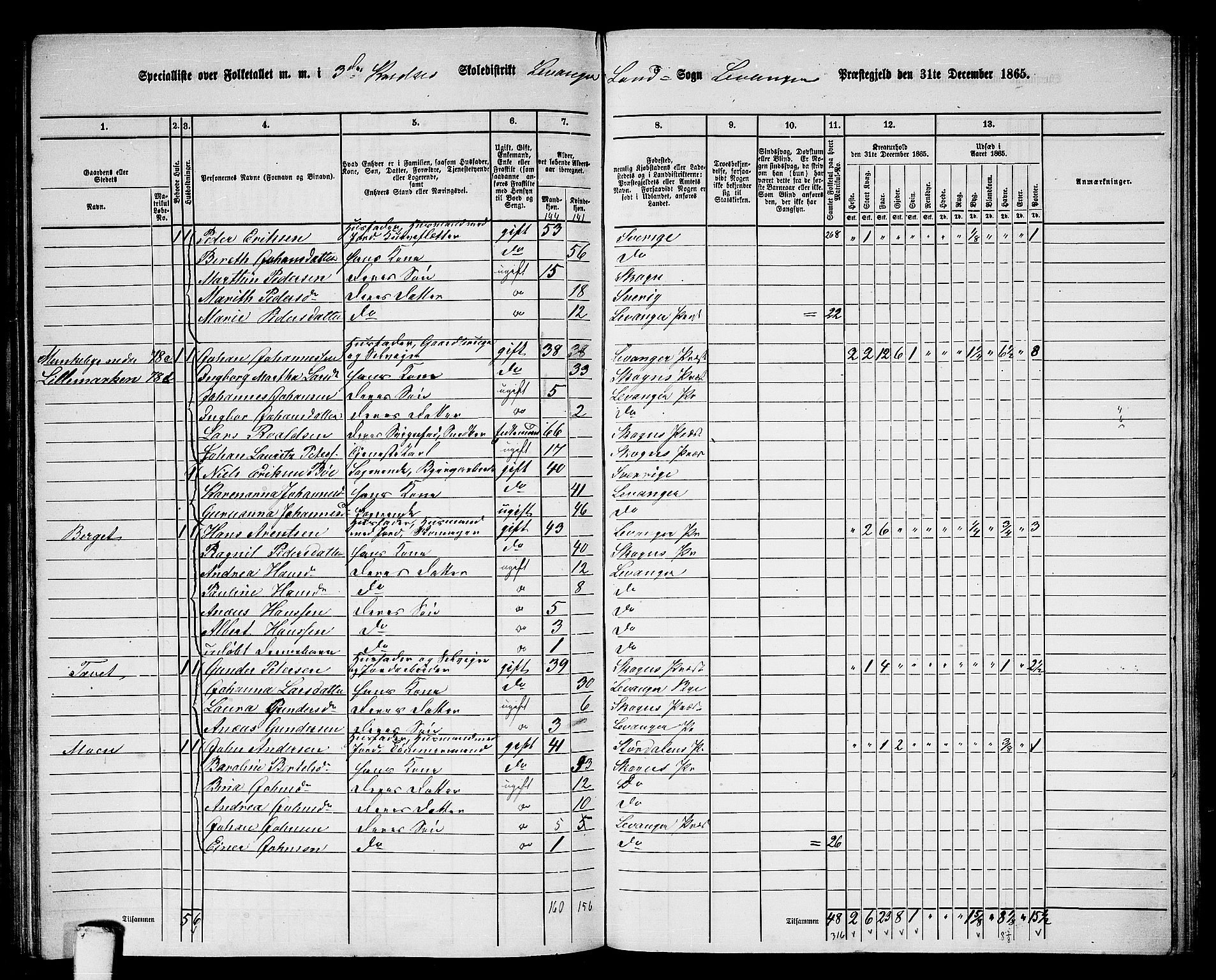 RA, 1865 census for Levanger/Levanger, 1865, p. 67