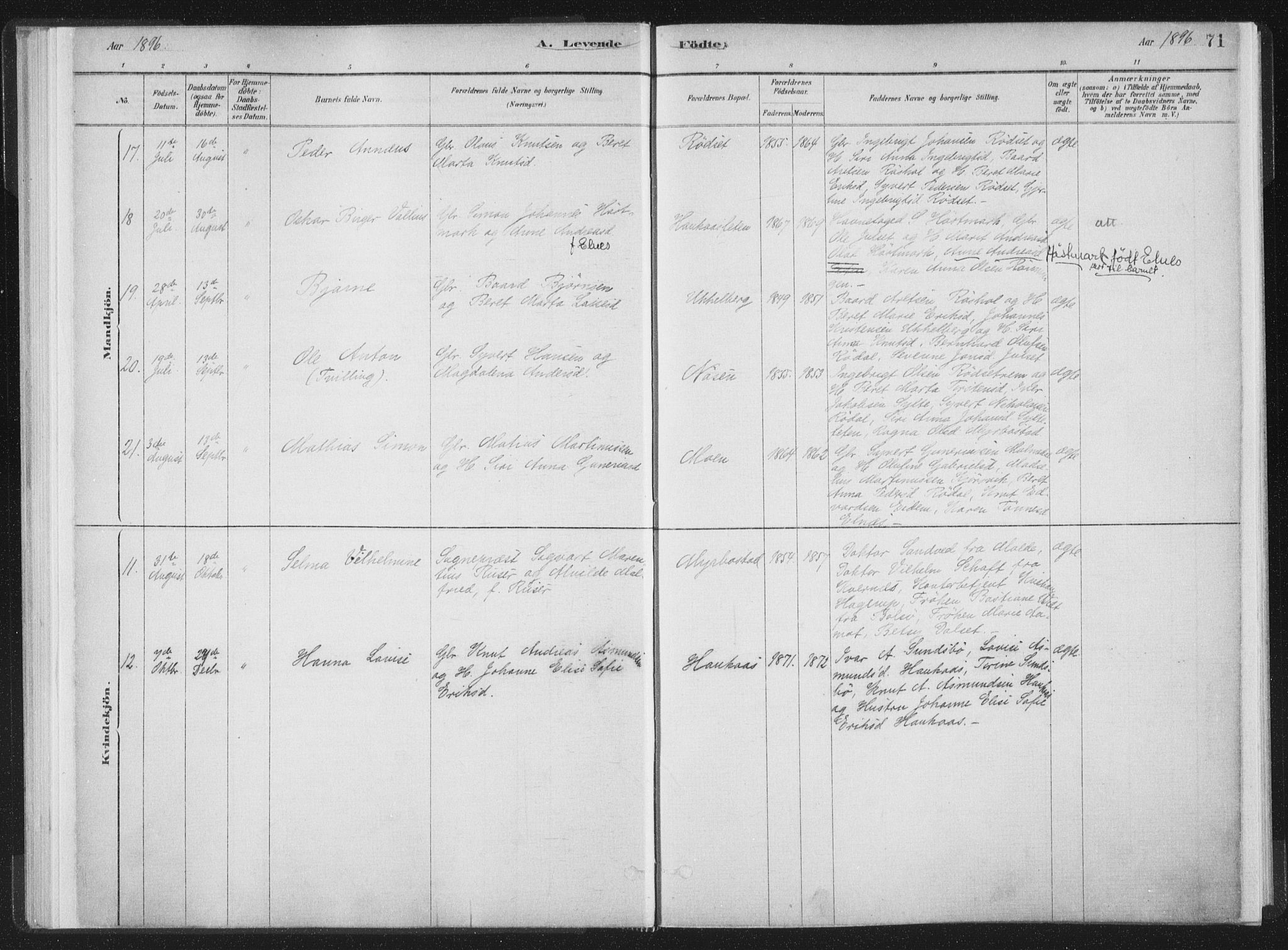 Ministerialprotokoller, klokkerbøker og fødselsregistre - Møre og Romsdal, AV/SAT-A-1454/564/L0740: Parish register (official) no. 564A01, 1880-1899, p. 71