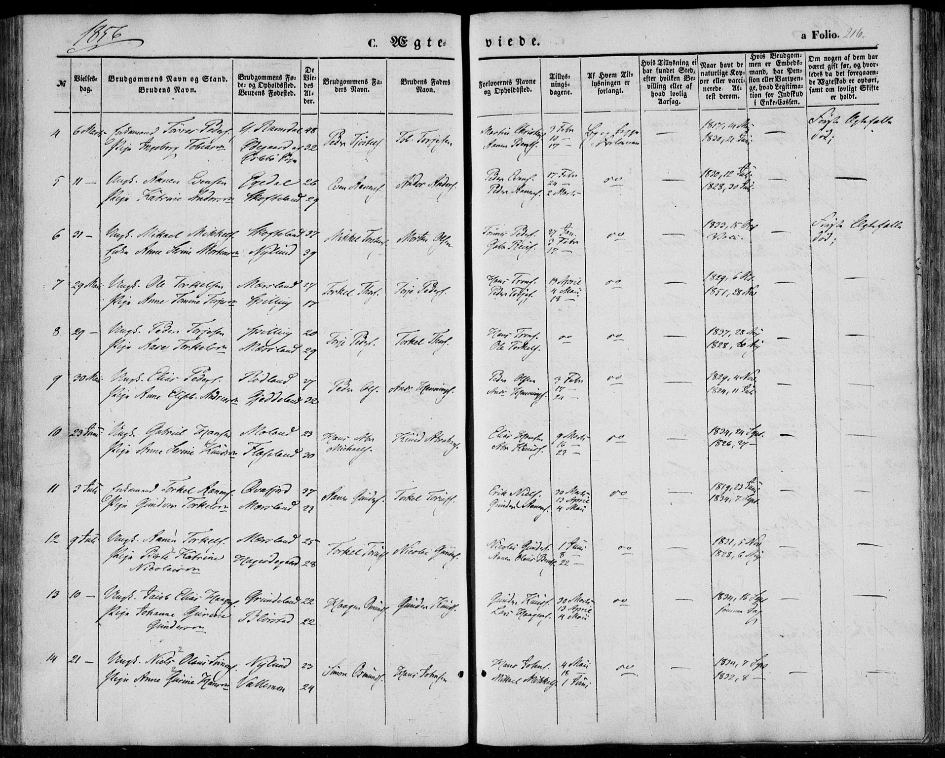 Sør-Audnedal sokneprestkontor, AV/SAK-1111-0039/F/Fa/Fab/L0007: Parish register (official) no. A 7, 1855-1876, p. 216