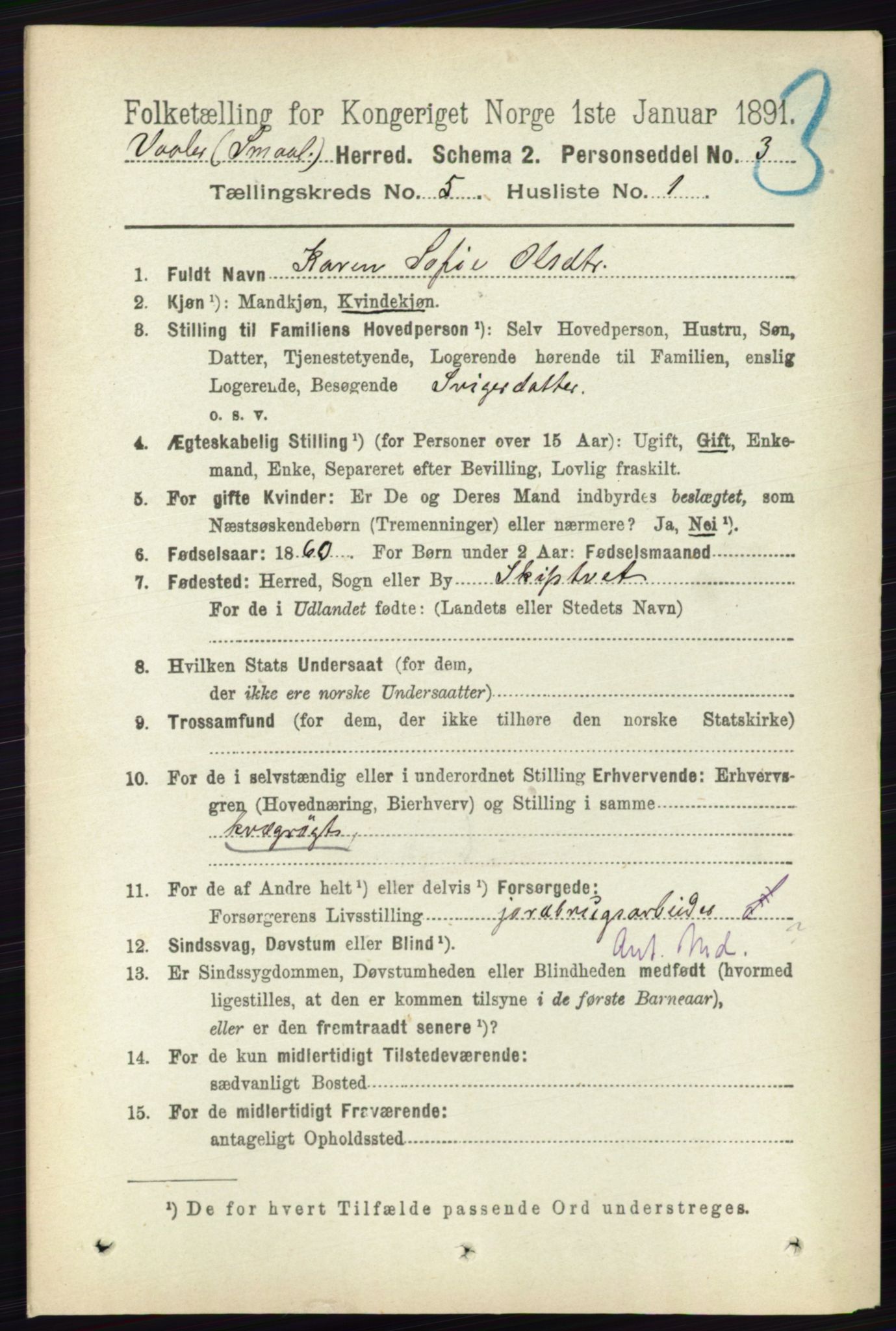 RA, 1891 census for 0137 Våler, 1891, p. 1980