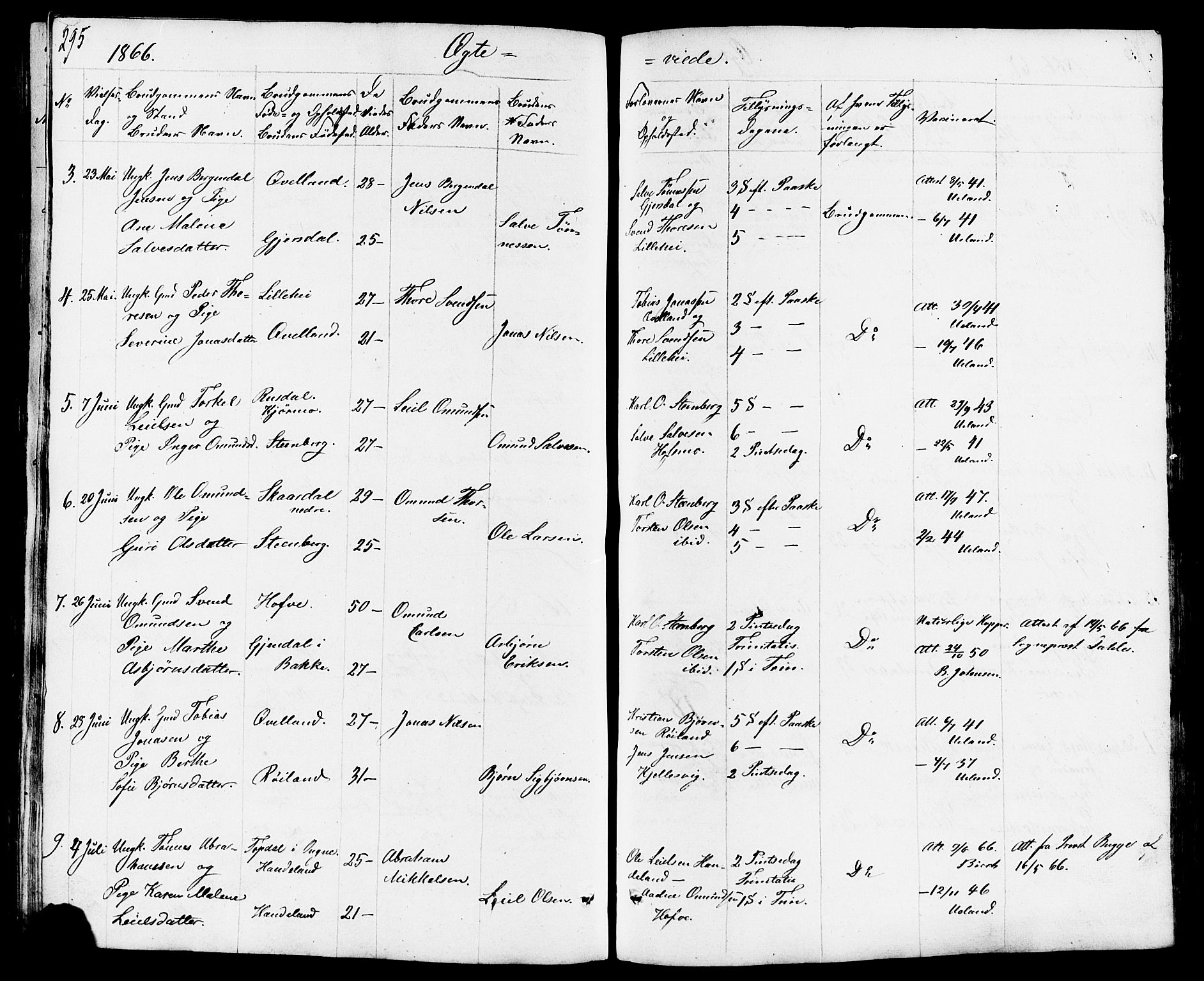 Lund sokneprestkontor, AV/SAST-A-101809/S07/L0003: Parish register (copy) no. B 3, 1848-1885, p. 295