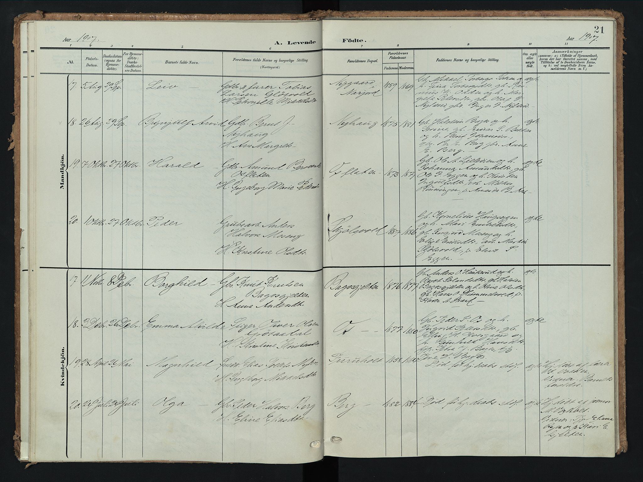 Tolga prestekontor, AV/SAH-PREST-062/K/L0009: Parish register (official) no. 9, 1903-1928, p. 21