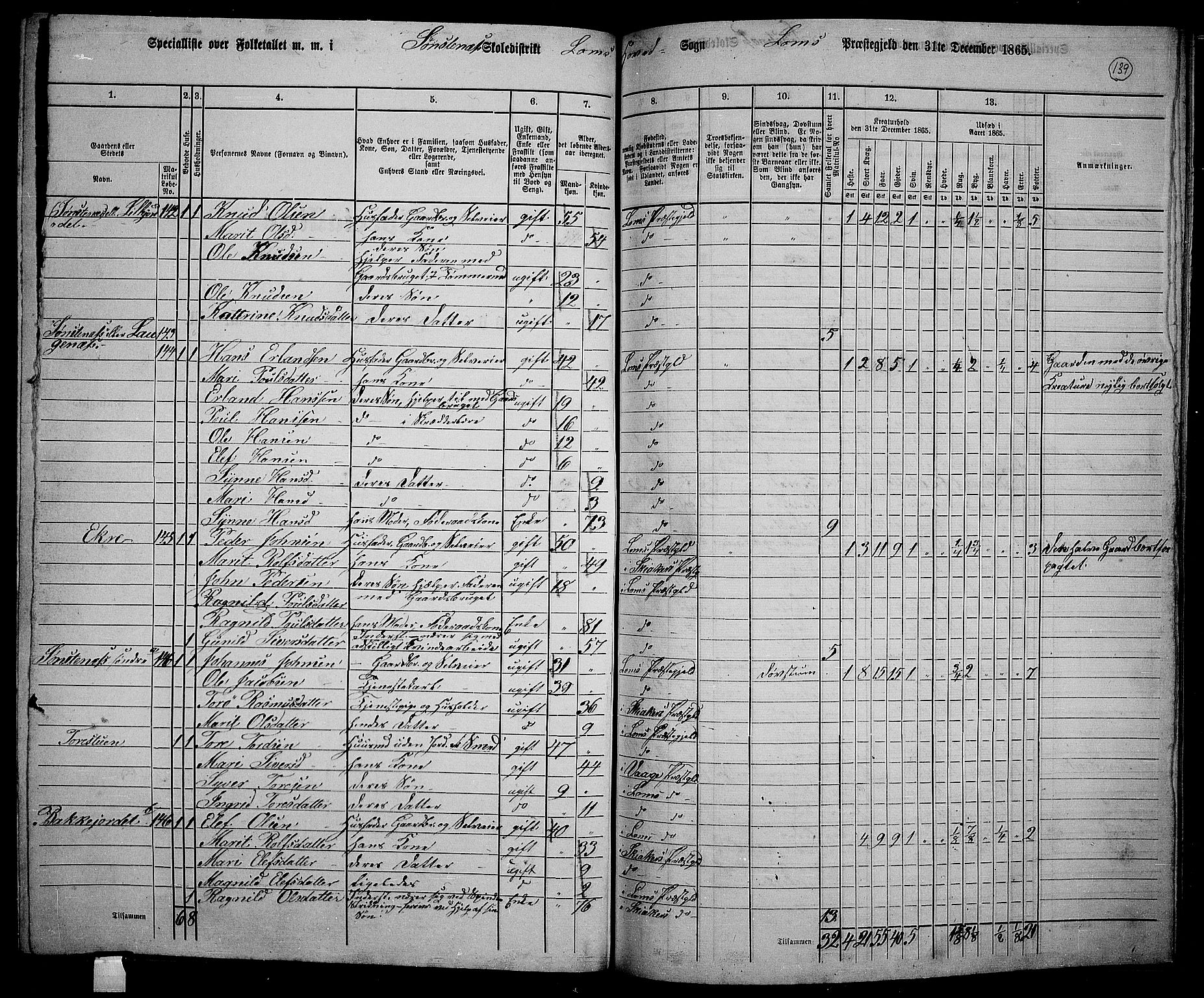 RA, 1865 census for Lom, 1865, p. 125