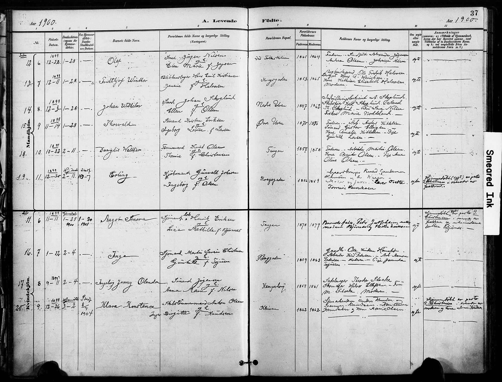 Risør sokneprestkontor, SAK/1111-0035/F/Fa/L0010: Parish register (official) no. A 10, 1896-1906, p. 37