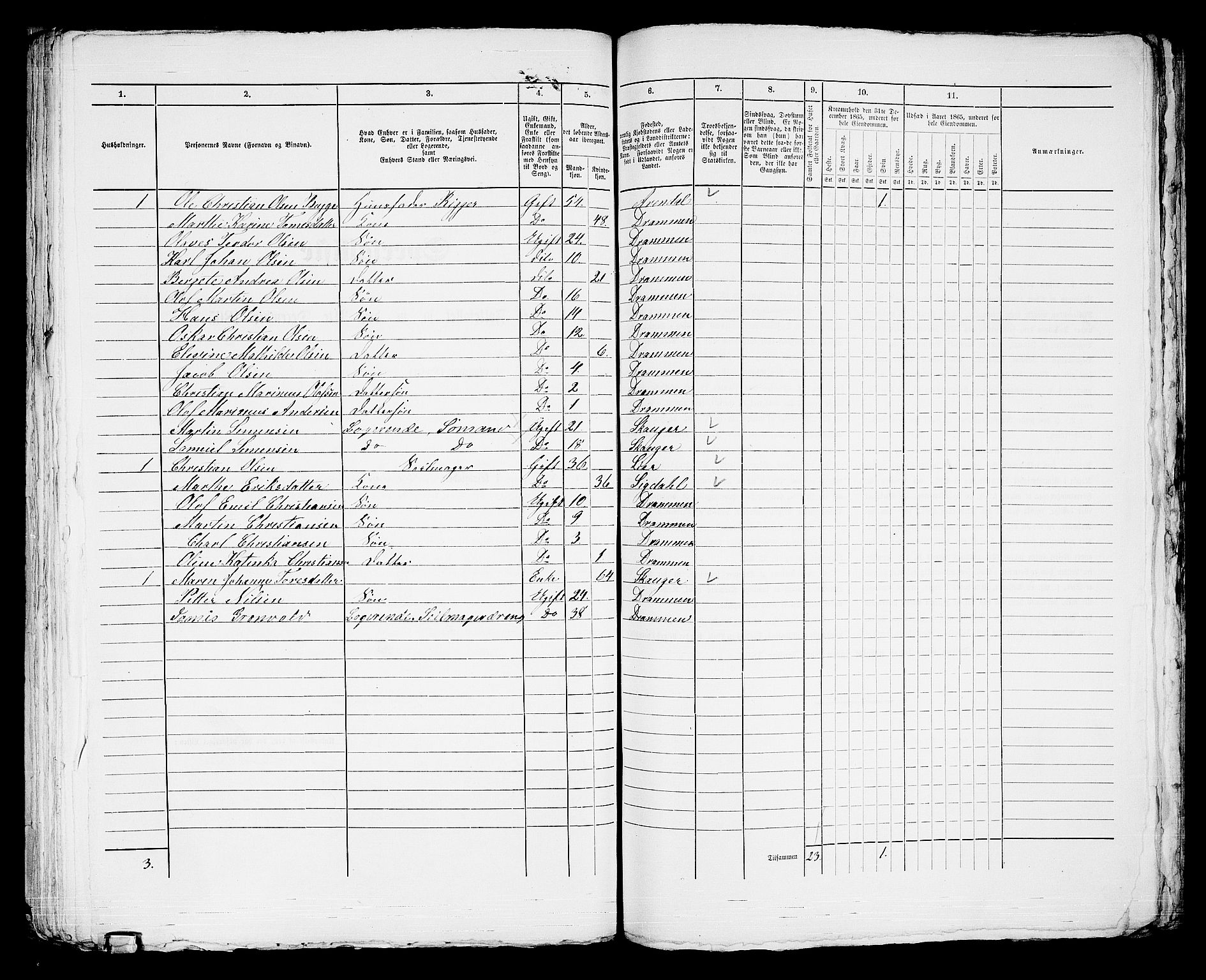 RA, 1865 census for Strømsø in Drammen, 1865, p. 949