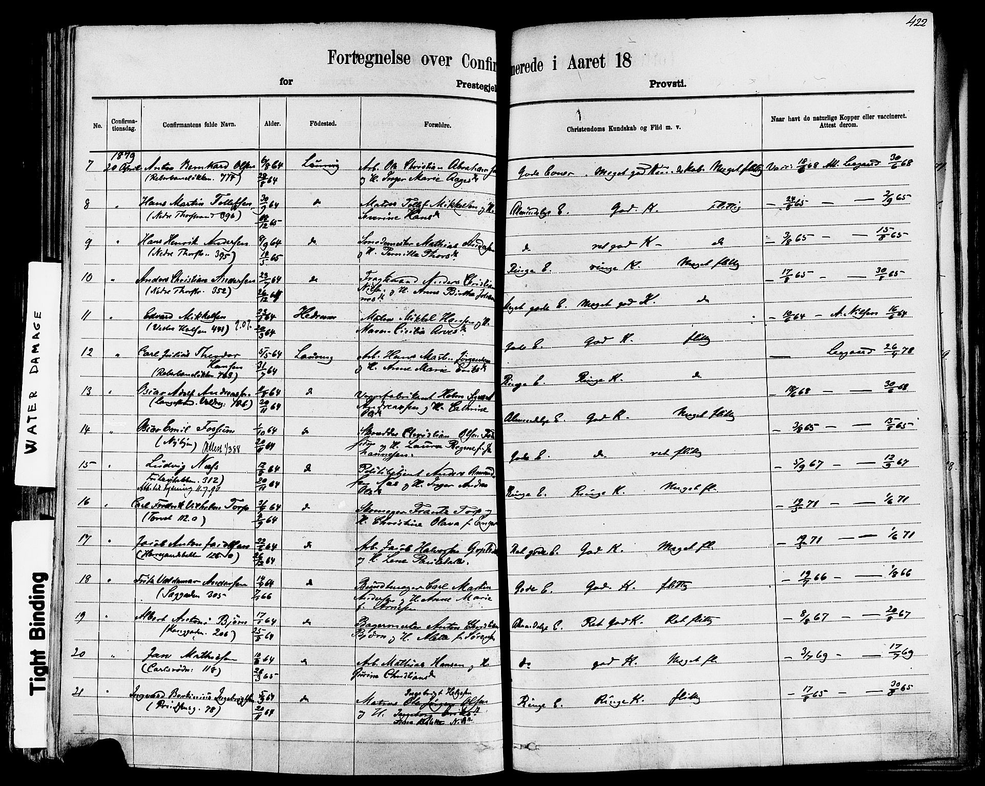 Larvik kirkebøker, AV/SAKO-A-352/F/Fa/L0006: Parish register (official) no. I 6, 1871-1883, p. 422