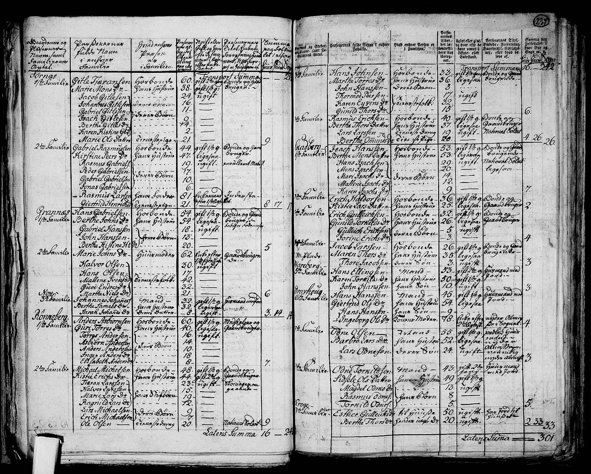 RA, 1801 census for 1124P Håland, 1801, p. 236b-237a