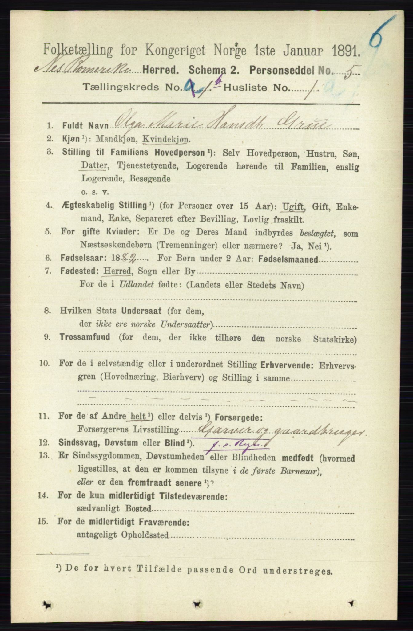 RA, 1891 census for 0236 Nes, 1891, p. 714