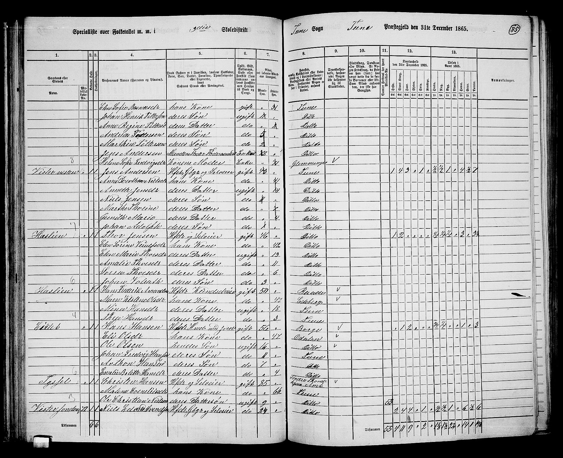 RA, 1865 census for Tune, 1865, p. 78