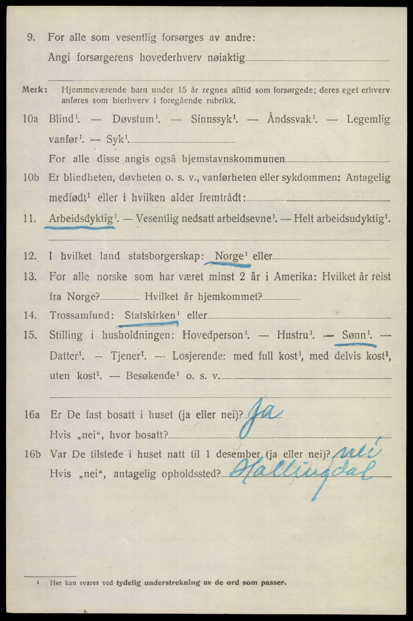 SAKO, 1920 census for Modum, 1920, p. 10856