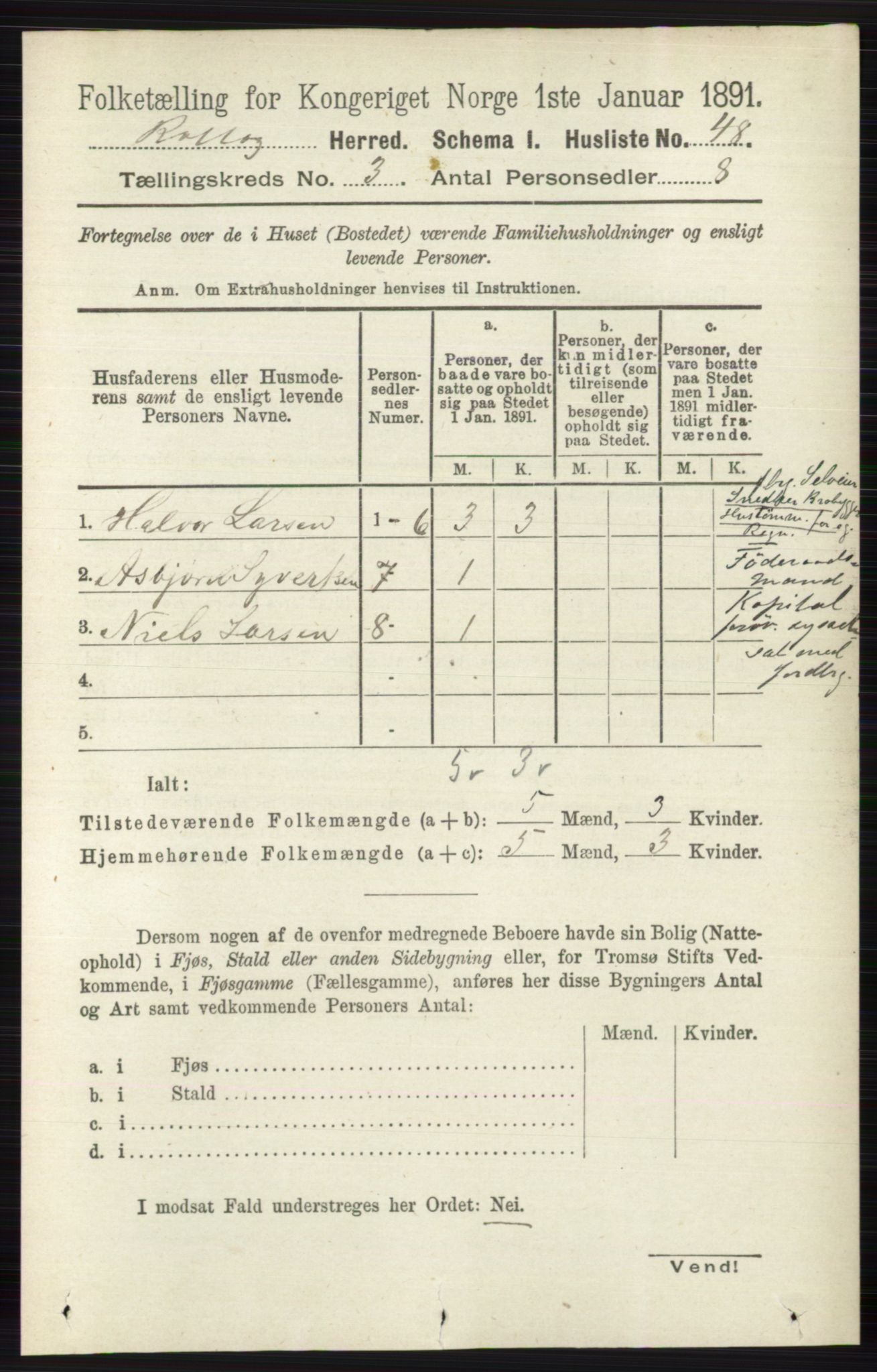 RA, 1891 census for 0632 Rollag, 1891, p. 915