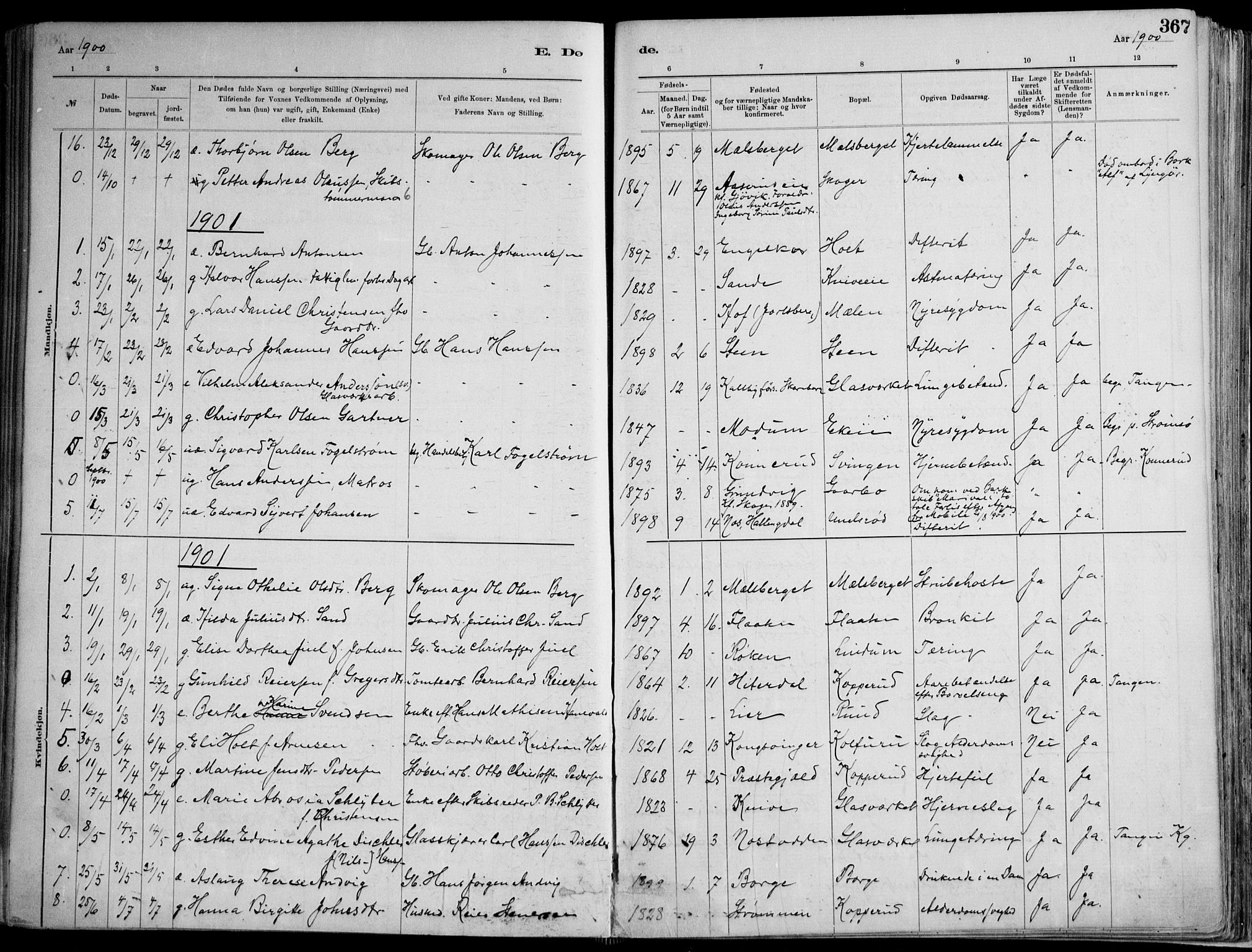 Skoger kirkebøker, AV/SAKO-A-59/F/Fa/L0006: Parish register (official) no. I 6, 1885-1910, p. 367