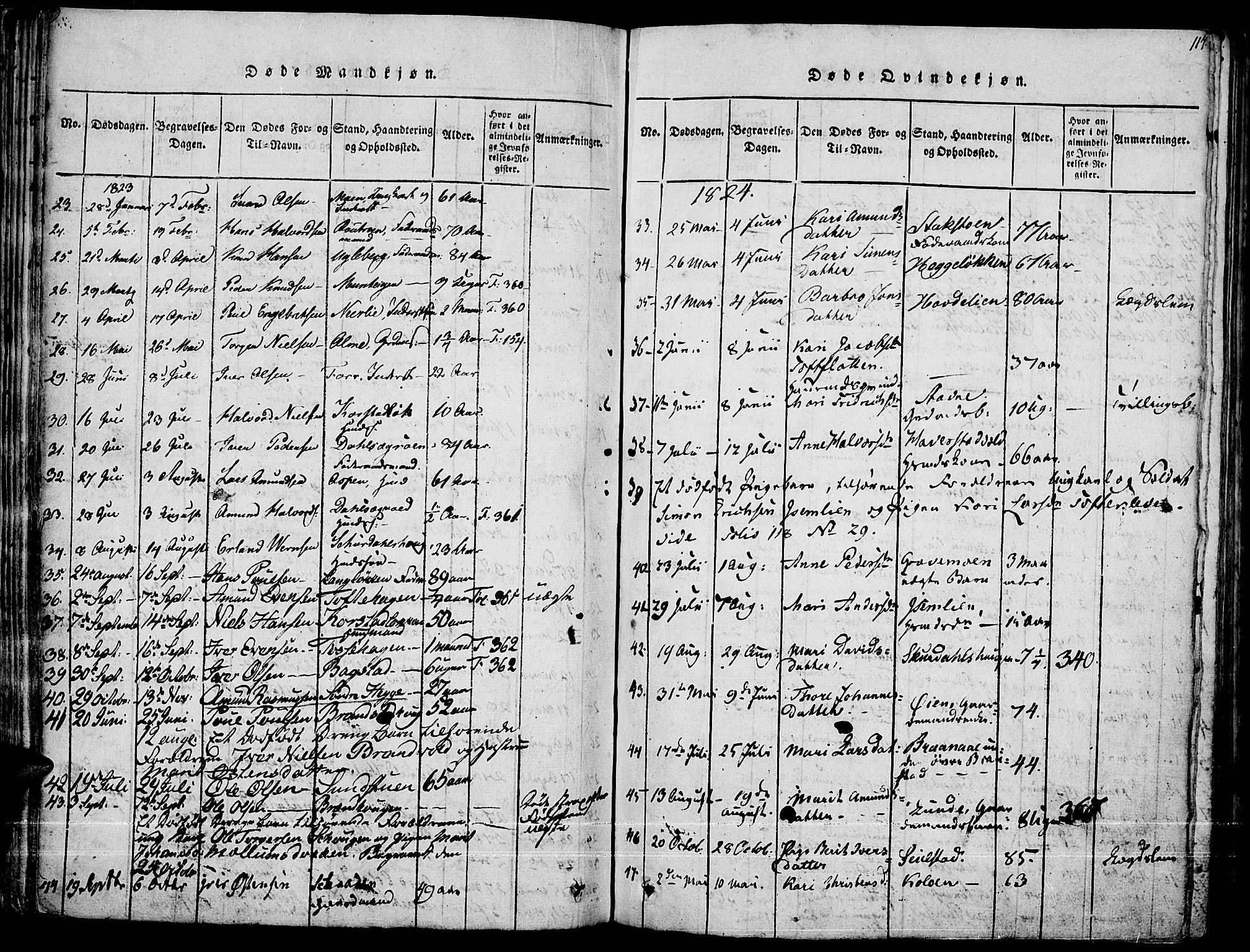 Fron prestekontor, SAH/PREST-078/H/Ha/Haa/L0002: Parish register (official) no. 2, 1816-1827, p. 117