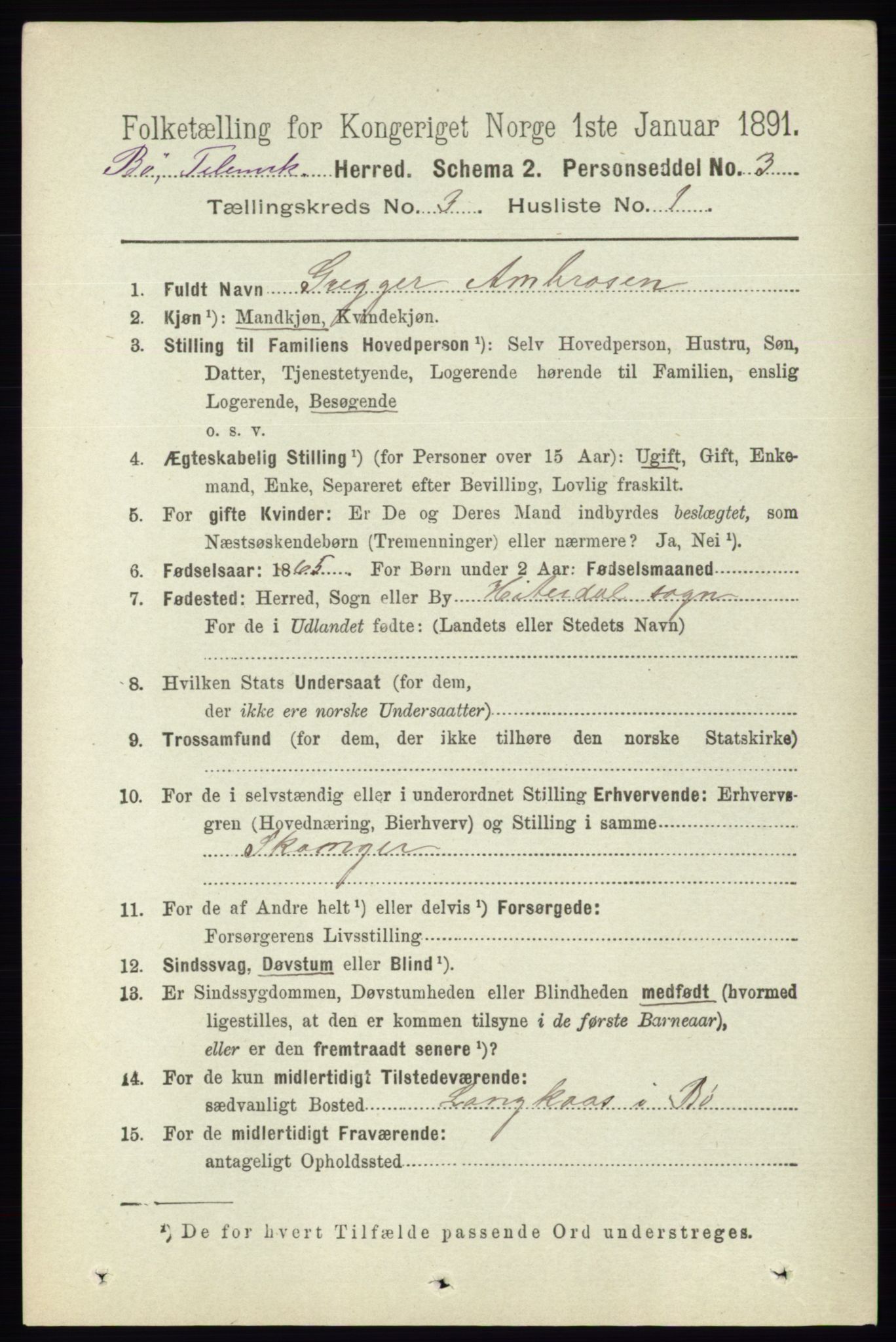 RA, 1891 census for 0821 Bø, 1891, p. 1019