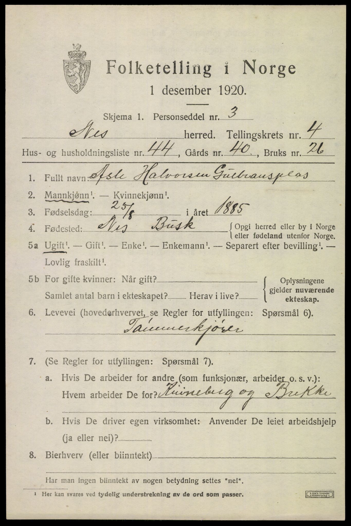 SAKO, 1920 census for Nes (Buskerud), 1920, p. 2492