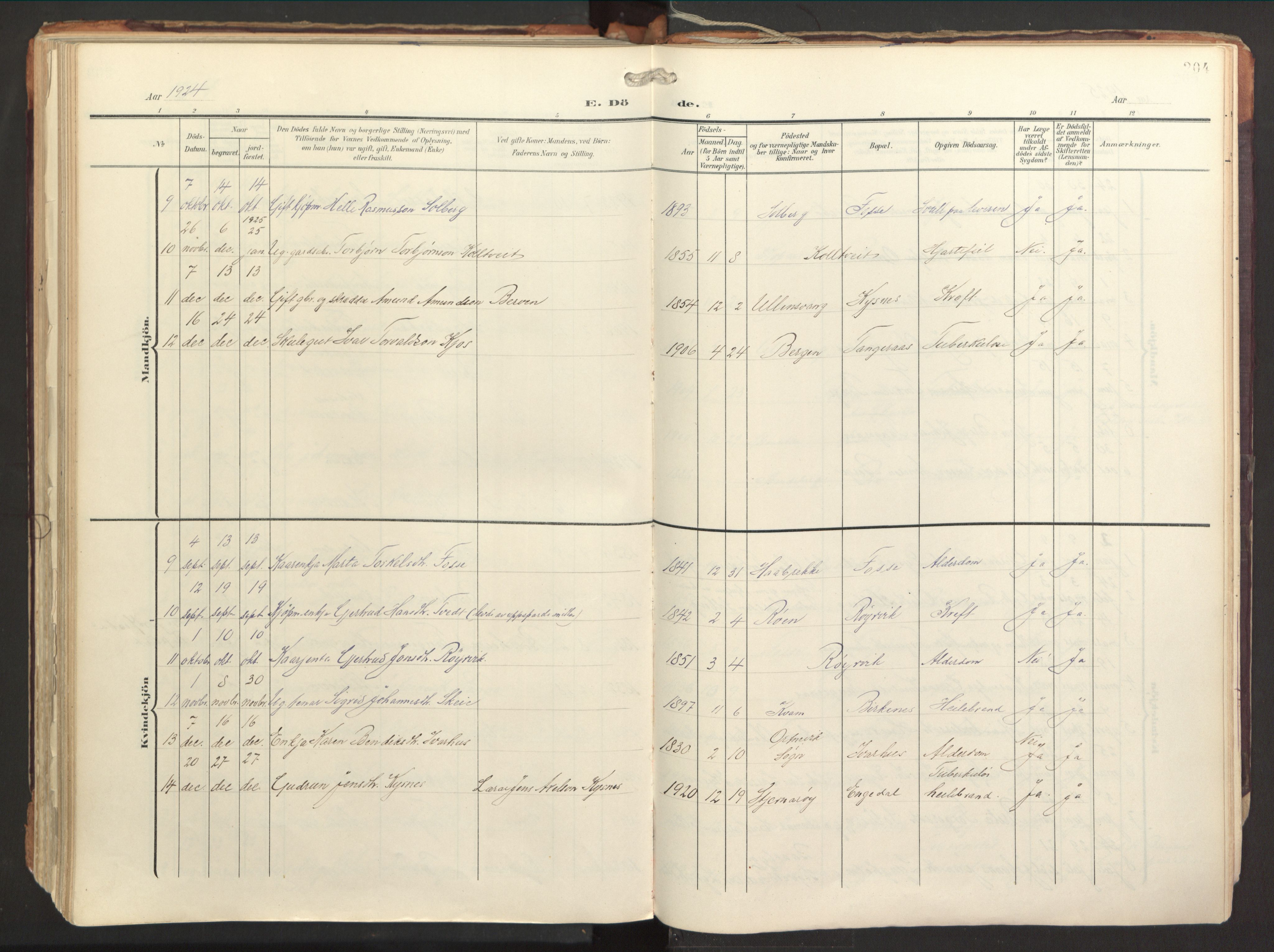 Strandebarm sokneprestembete, AV/SAB-A-78401/H/Haa: Parish register (official) no. B 2, 1909-1941, p. 204