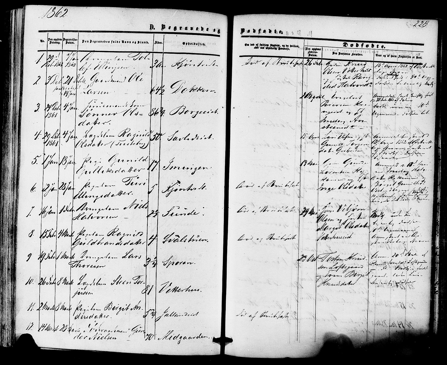 Nore kirkebøker, SAKO/A-238/F/Fa/L0003: Parish register (official) no. I 3, 1858-1866, p. 228