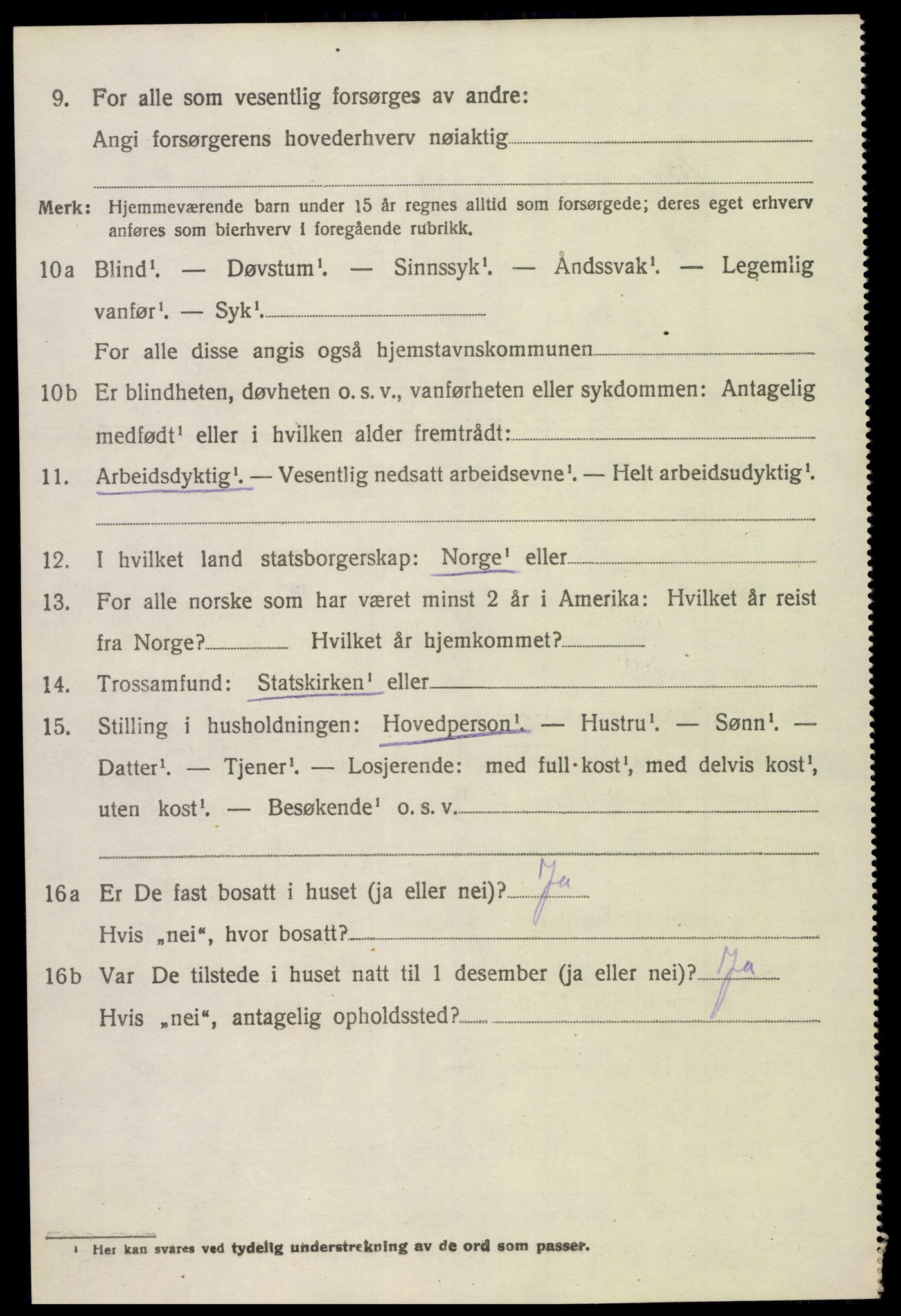 SAK, 1920 census for Hornnes, 1920, p. 964