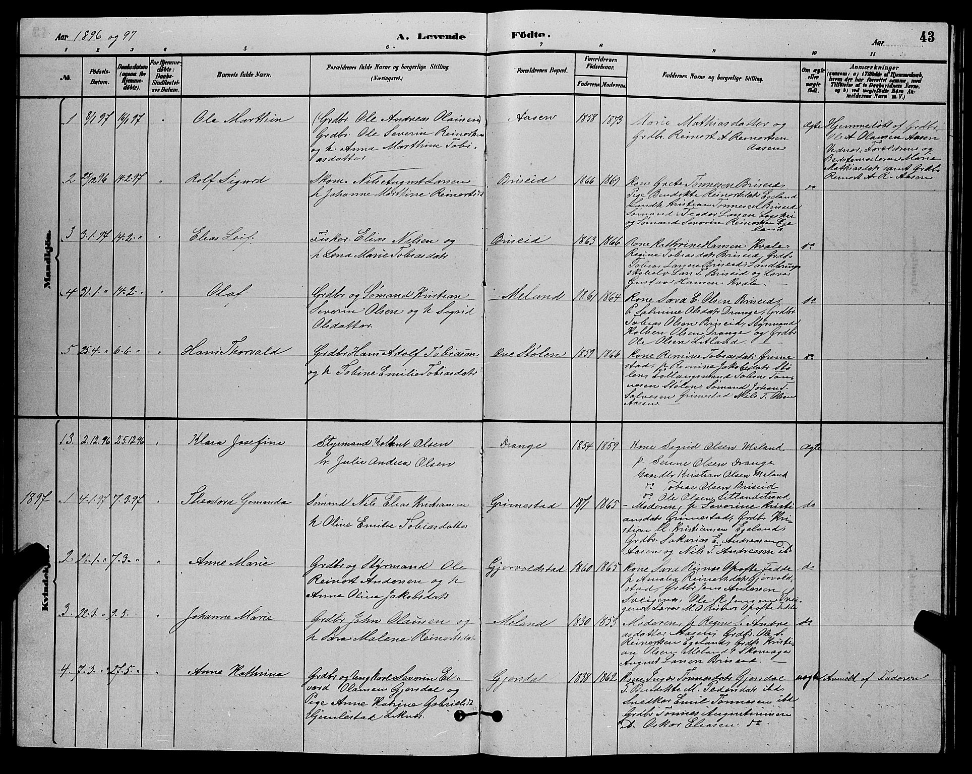 Herad sokneprestkontor, AV/SAK-1111-0018/F/Fb/Fba/L0004: Parish register (copy) no. B 4, 1882-1899, p. 43