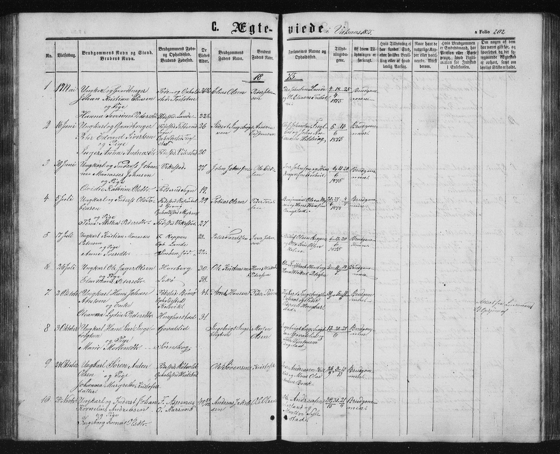 Ministerialprotokoller, klokkerbøker og fødselsregistre - Nordland, AV/SAT-A-1459/810/L0158: Parish register (copy) no. 810C02 /1, 1863-1883, p. 202