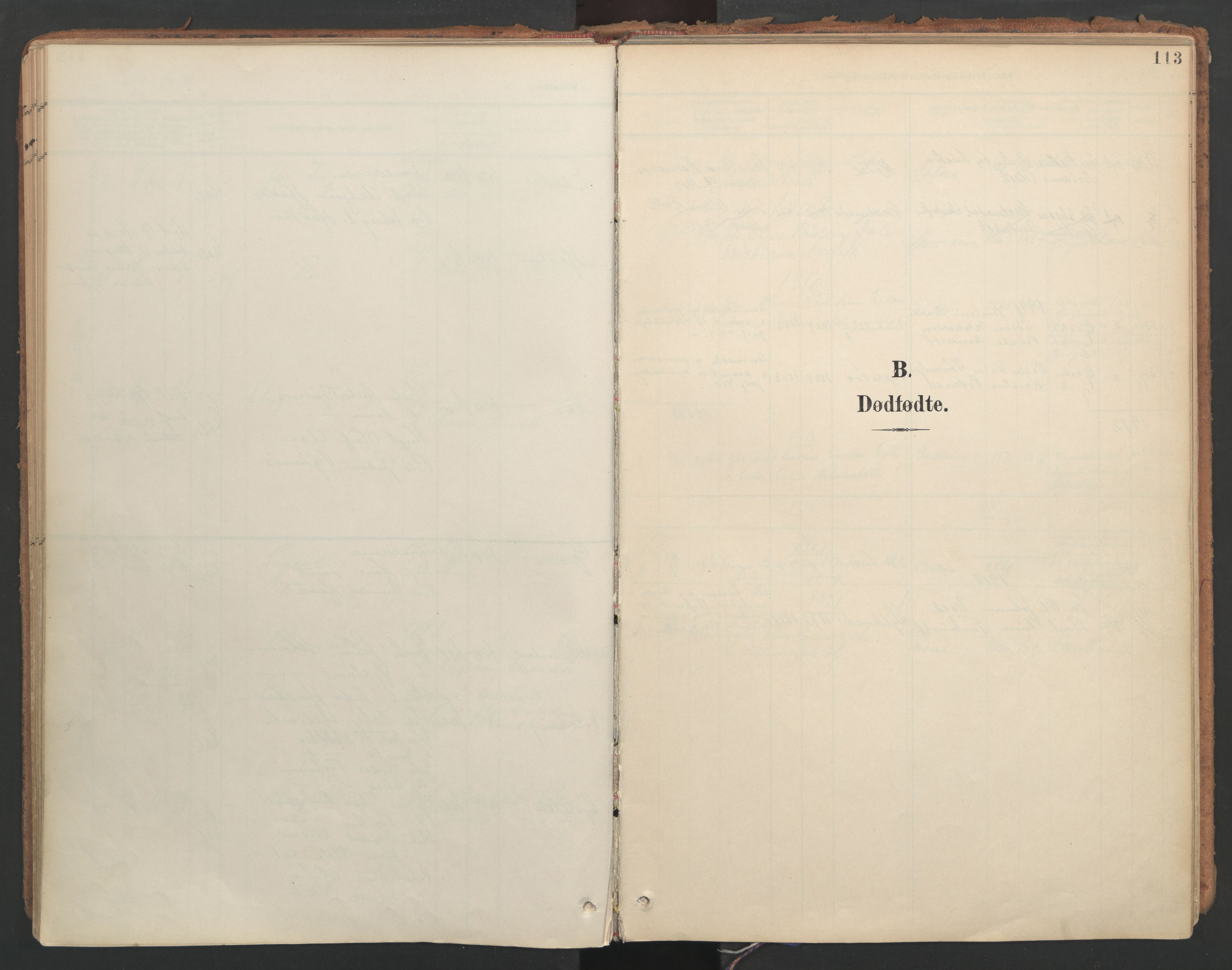 Ministerialprotokoller, klokkerbøker og fødselsregistre - Møre og Romsdal, SAT/A-1454/564/L0741: Parish register (official) no. 564A02, 1900-1976, p. 113