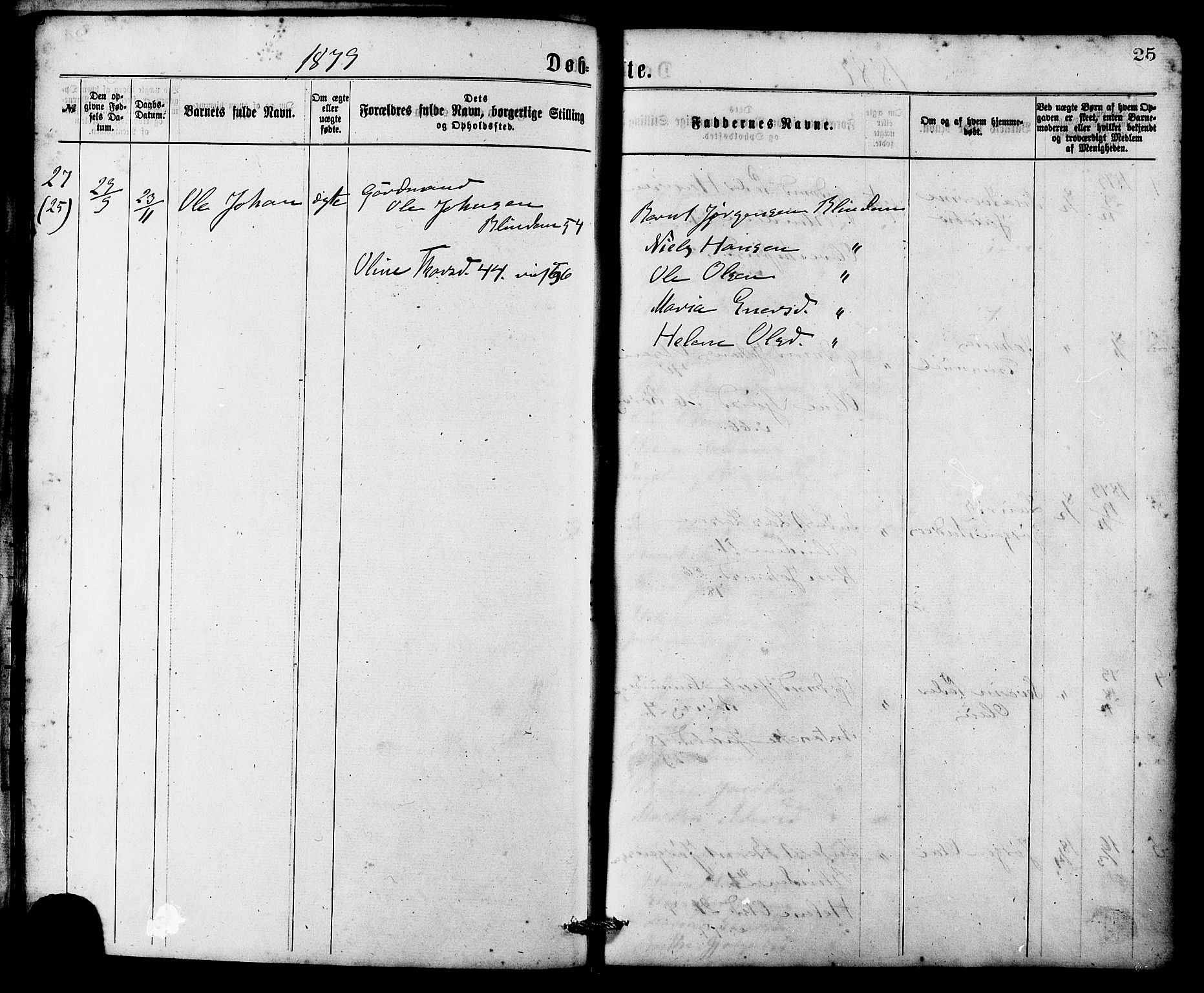 Ministerialprotokoller, klokkerbøker og fødselsregistre - Møre og Romsdal, AV/SAT-A-1454/537/L0519: Parish register (official) no. 537A03, 1876-1889, p. 25