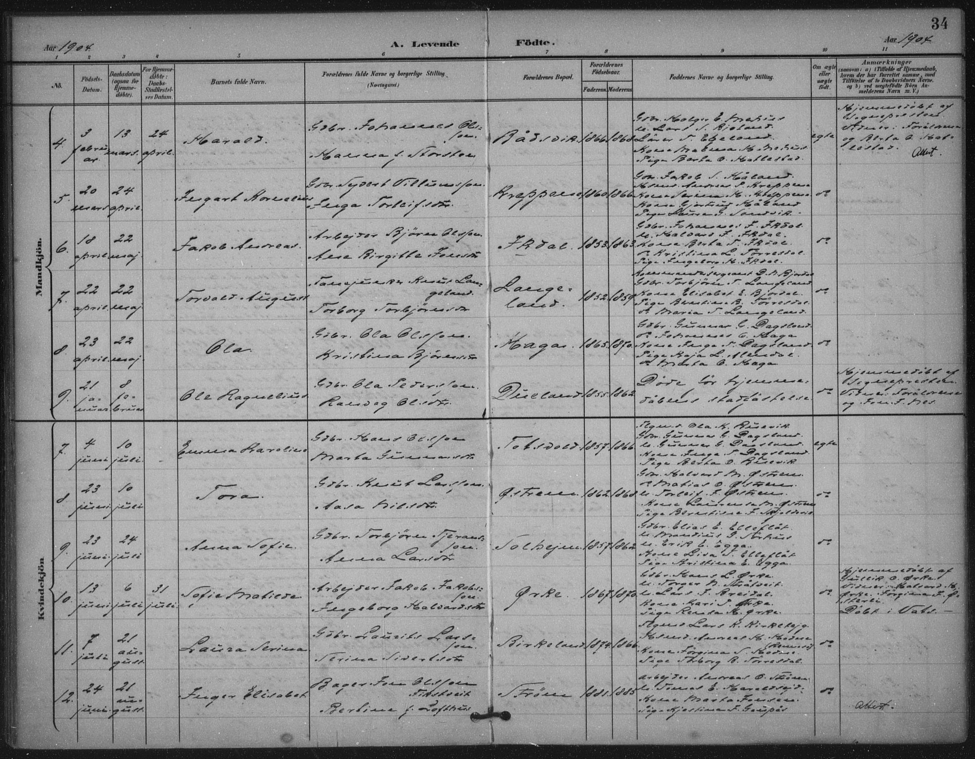 Skjold sokneprestkontor, AV/SAST-A-101847/H/Ha/Haa/L0011: Parish register (official) no. A 11, 1897-1914, p. 34