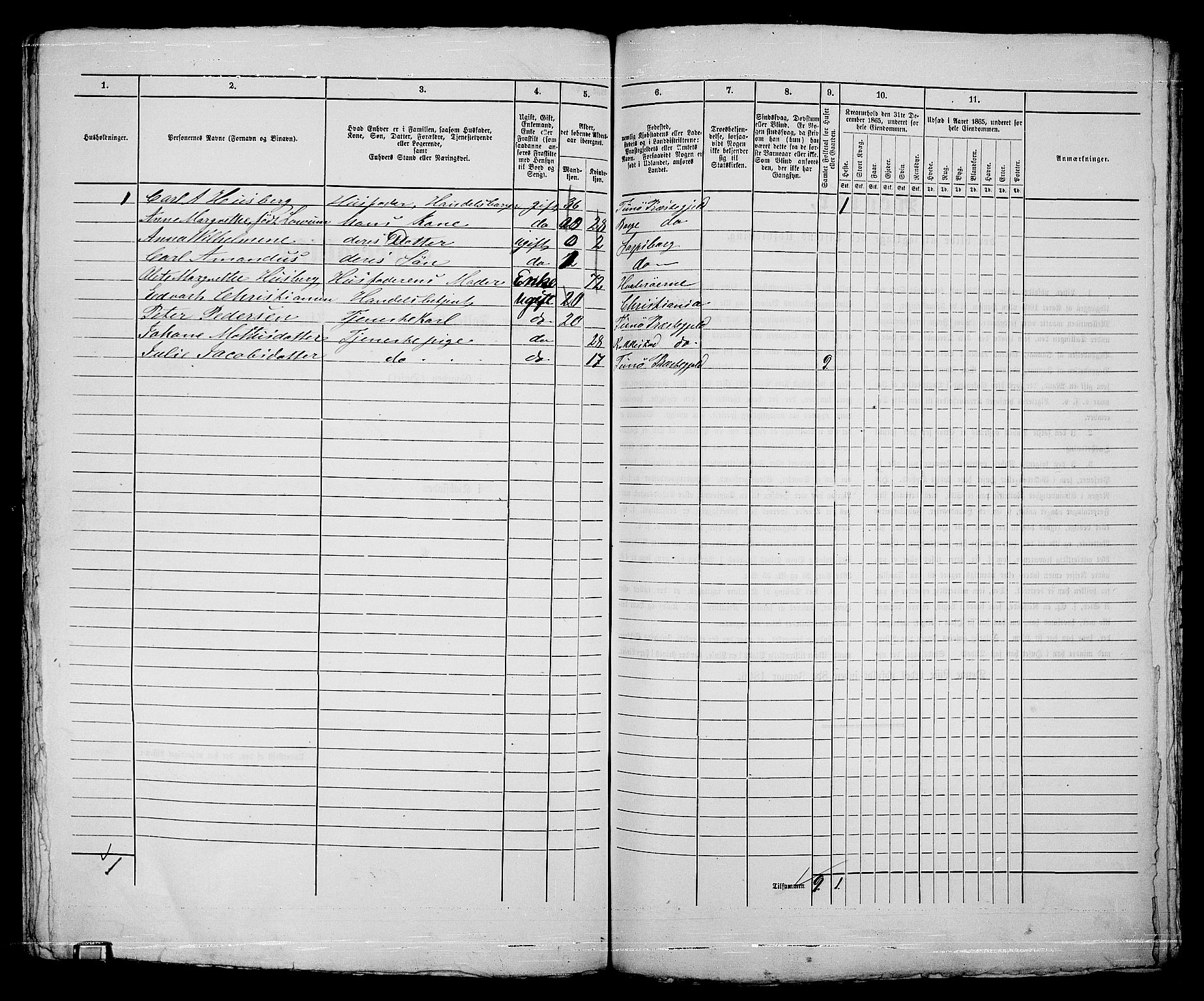 RA, 1865 census for Sarpsborg, 1865, p. 338