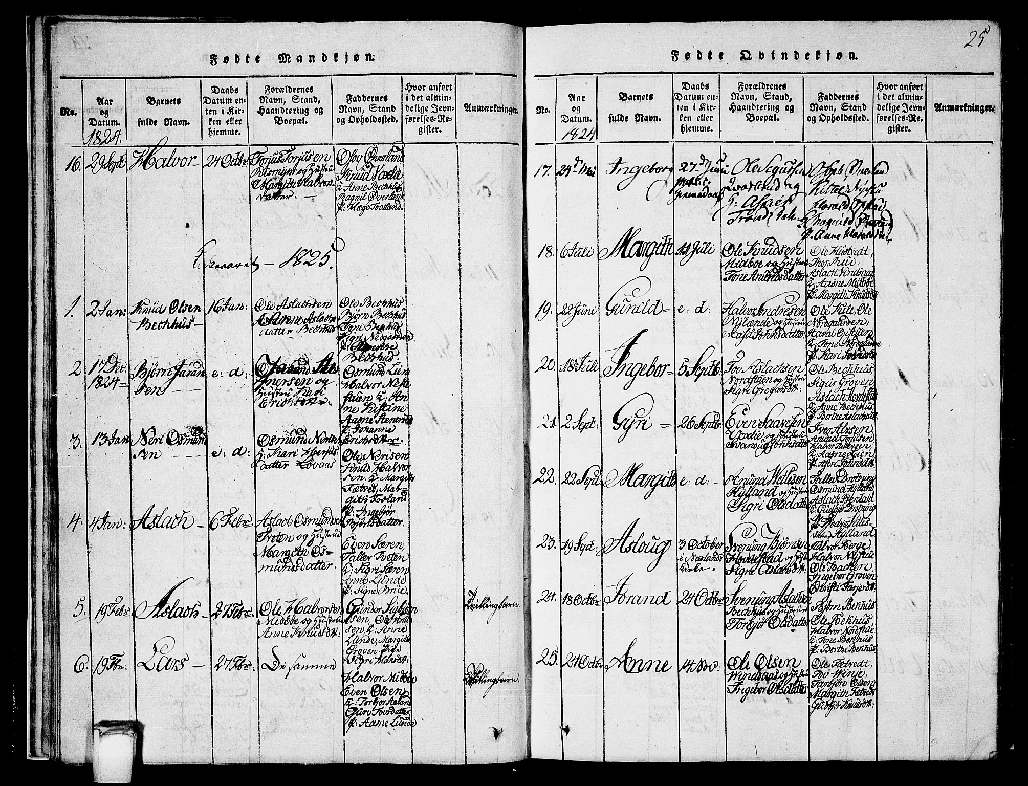 Vinje kirkebøker, SAKO/A-312/G/Ga/L0001: Parish register (copy) no. I 1, 1814-1843, p. 25