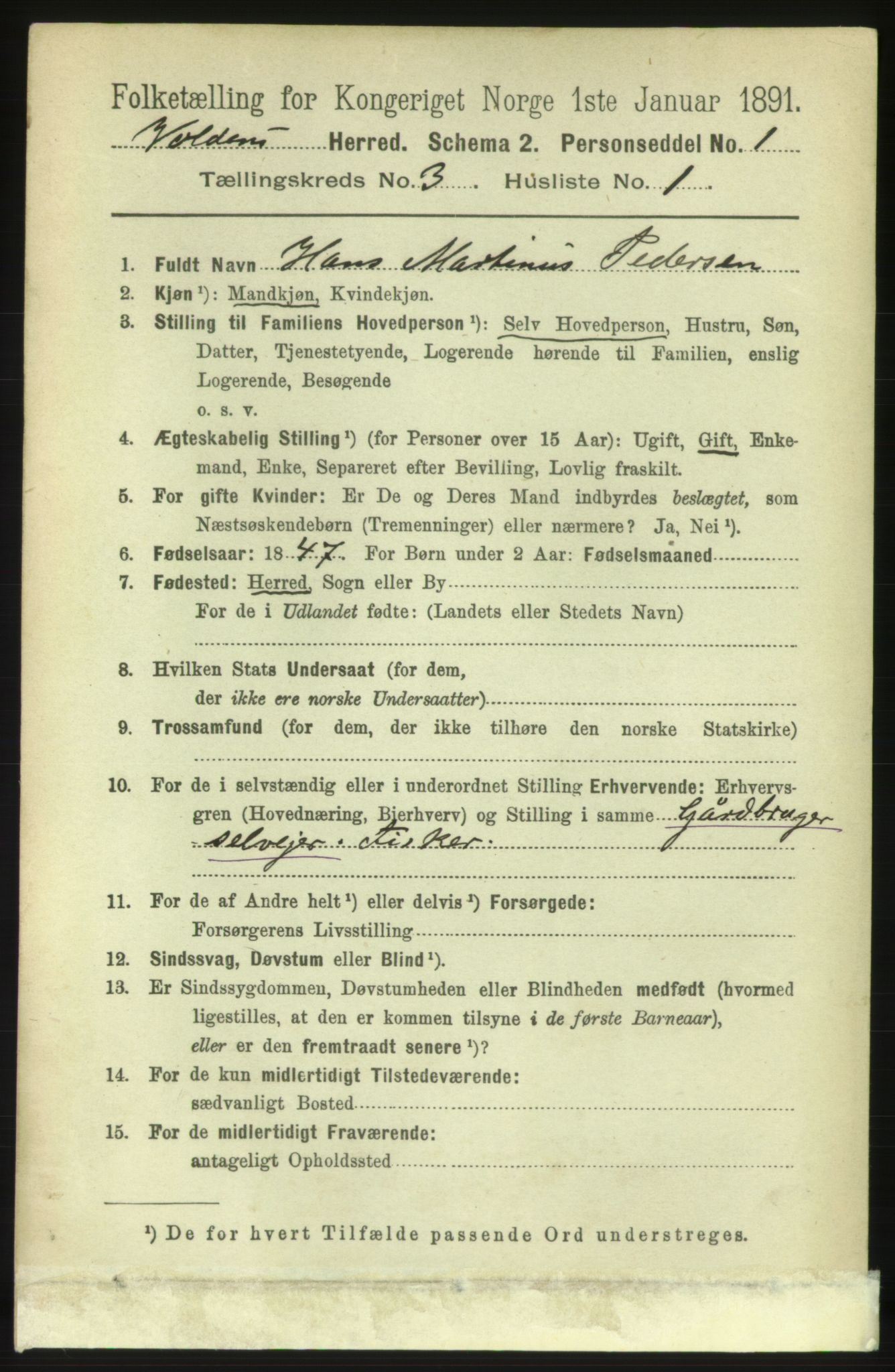 RA, 1891 census for 1519 Volda, 1891, p. 1655