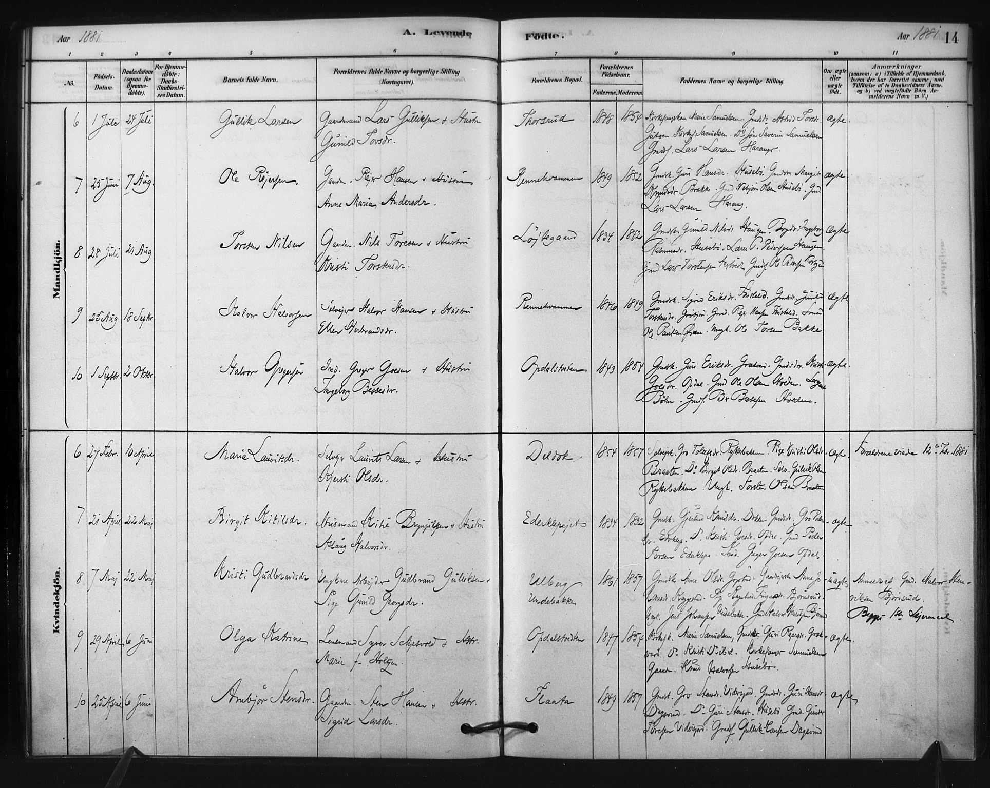 Nore kirkebøker, SAKO/A-238/F/Fc/L0003: Parish register (official) no. III 3, 1878-1884, p. 14