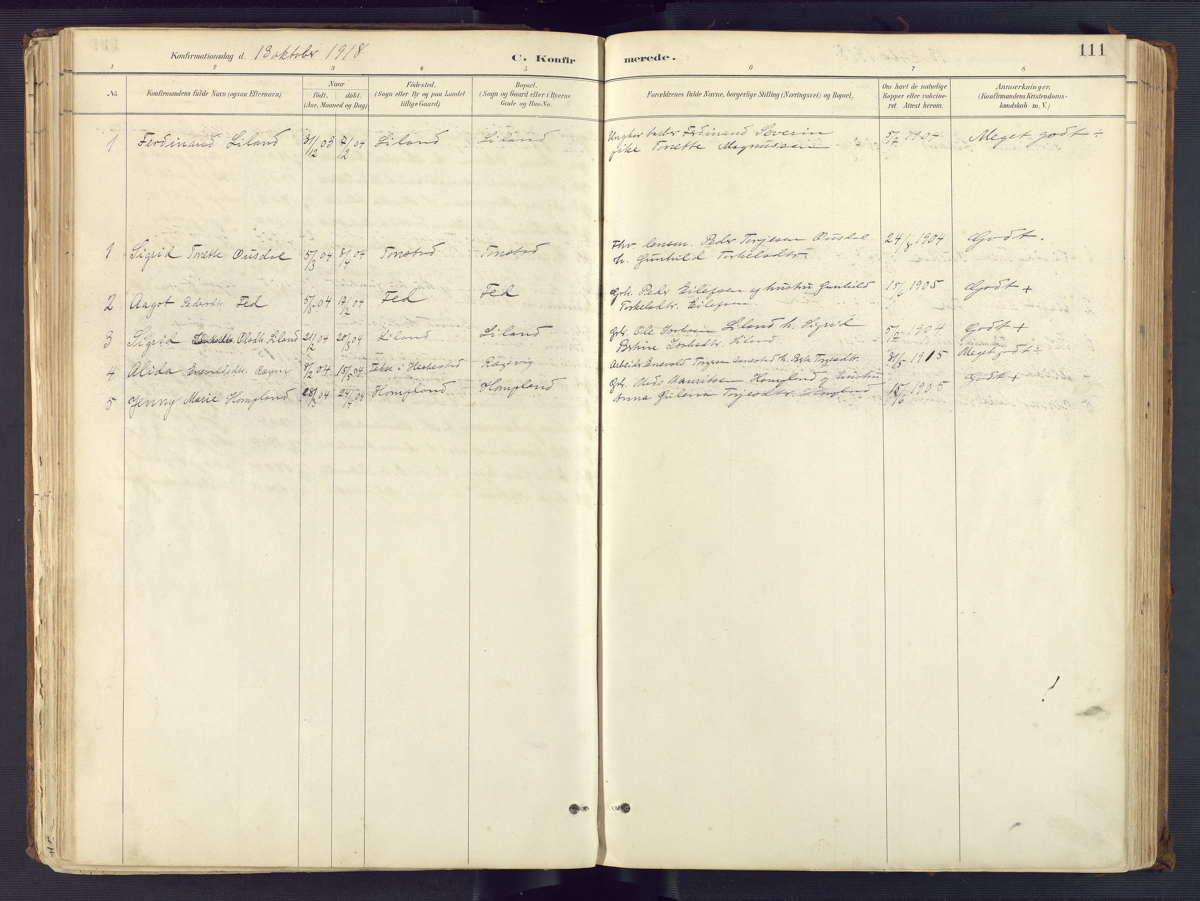 Sirdal sokneprestkontor, AV/SAK-1111-0036/F/Fa/Fab/L0004: Parish register (official) no. A 4, 1887-1919, p. 111