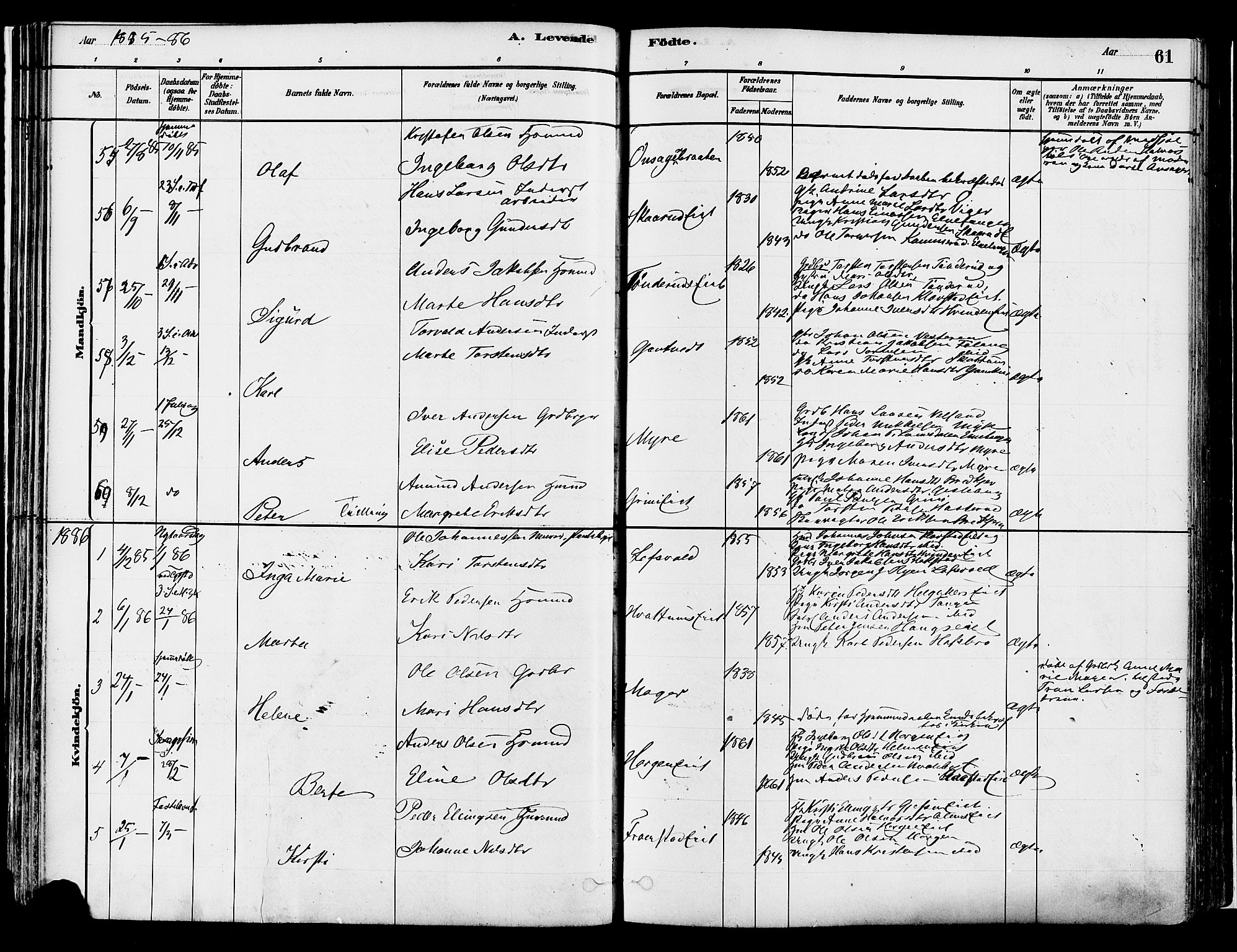 Gran prestekontor, SAH/PREST-112/H/Ha/Haa/L0014: Parish register (official) no. 14, 1880-1889, p. 61