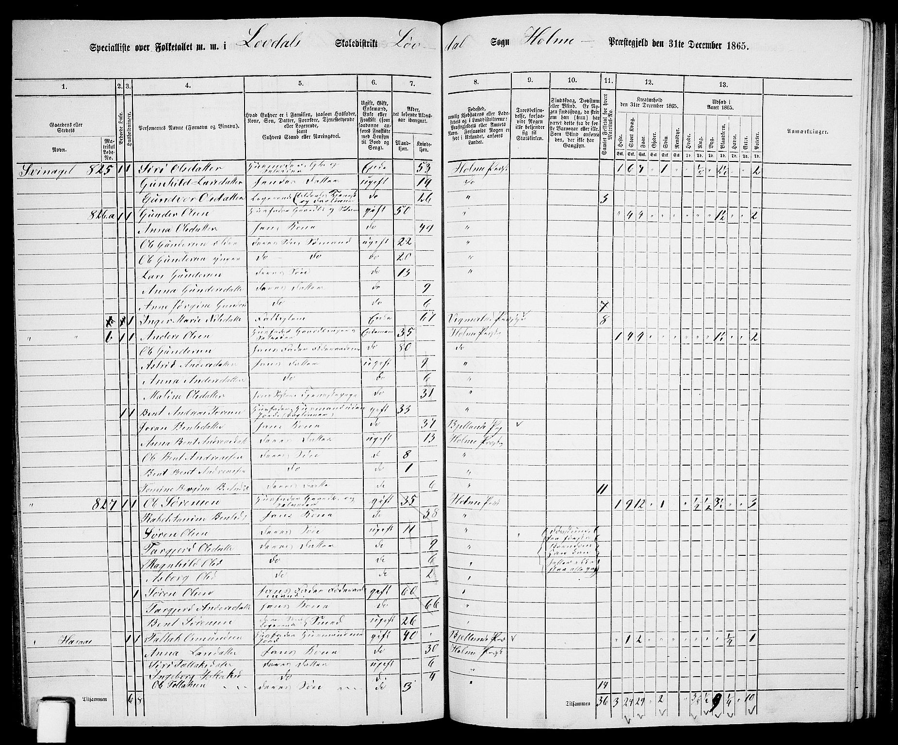 RA, 1865 census for Holum, 1865, p. 144