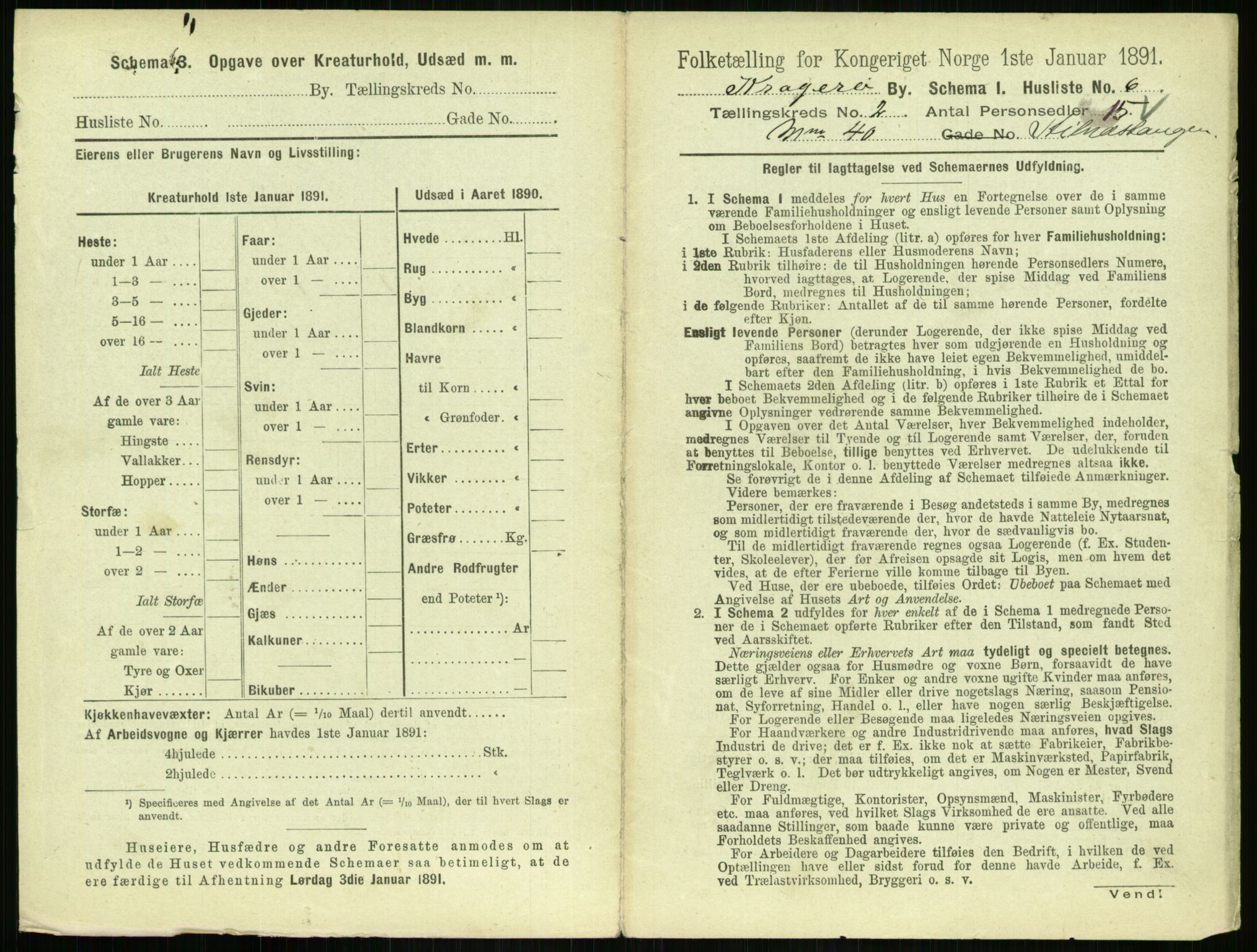 RA, 1891 census for 0801 Kragerø, 1891, p. 302