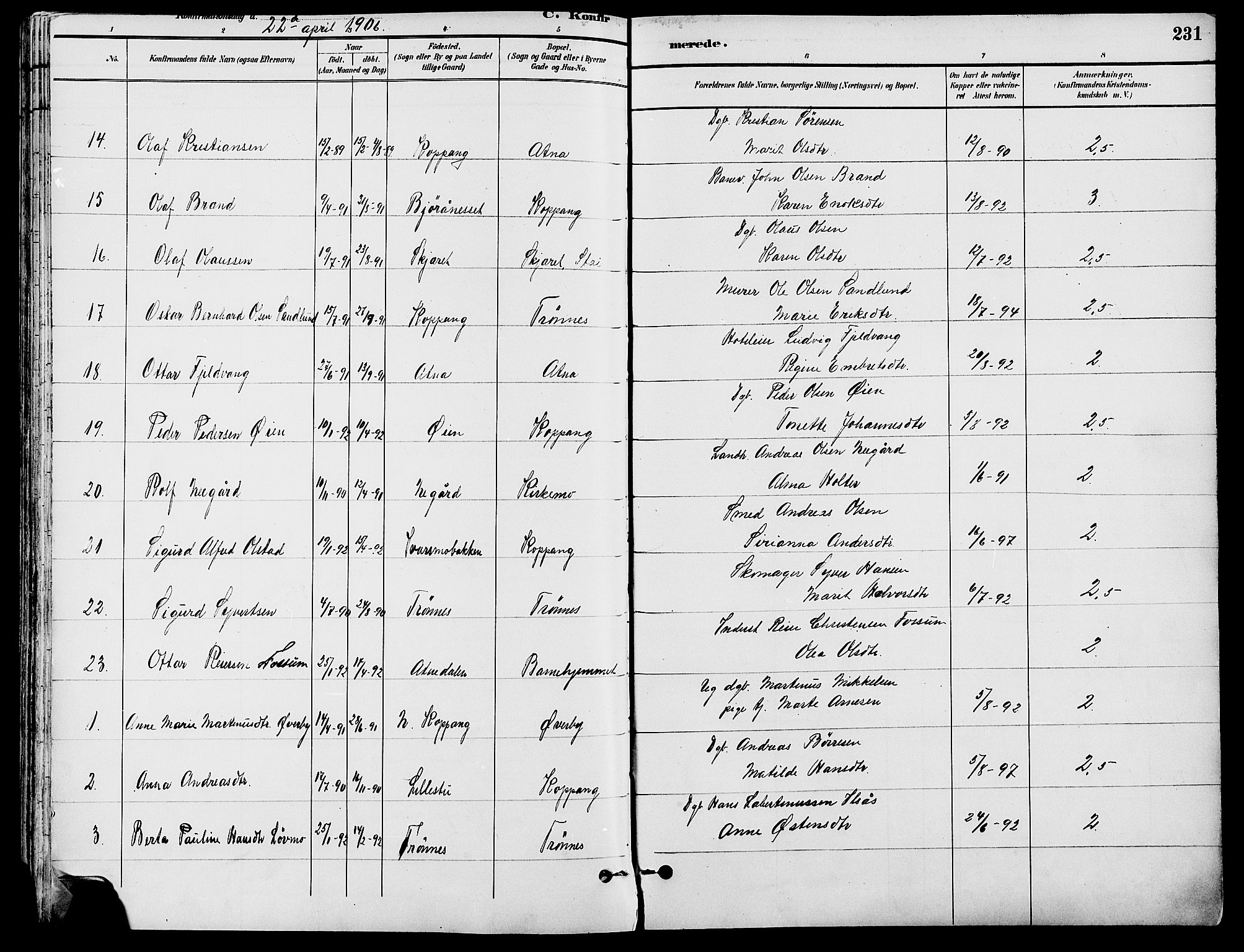 Stor-Elvdal prestekontor, AV/SAH-PREST-052/H/Ha/Haa/L0002: Parish register (official) no. 2, 1882-1907, p. 231