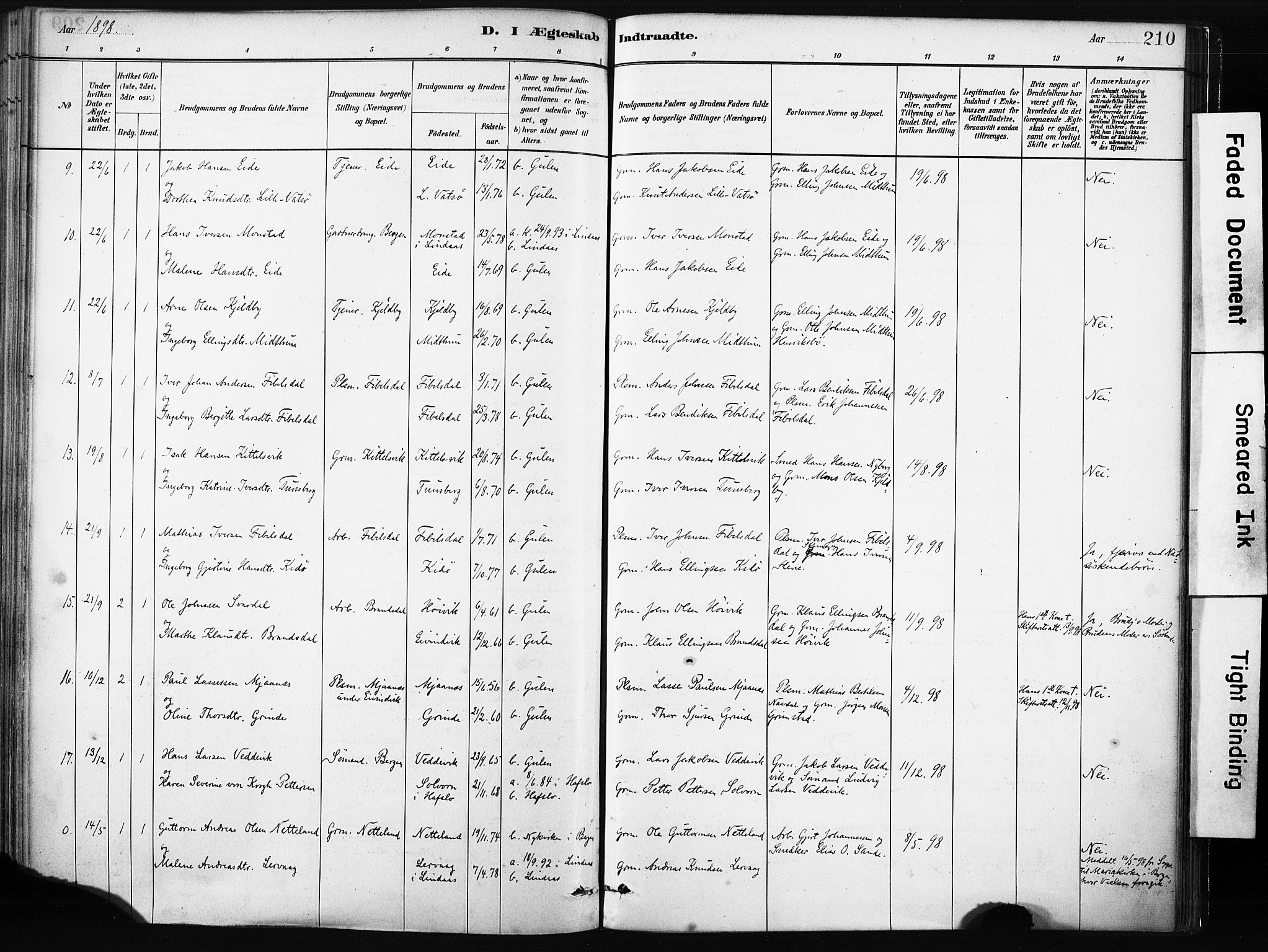 Gulen sokneprestembete, SAB/A-80201/H/Haa/Haab/L0001: Parish register (official) no. B 1, 1881-1905, p. 210