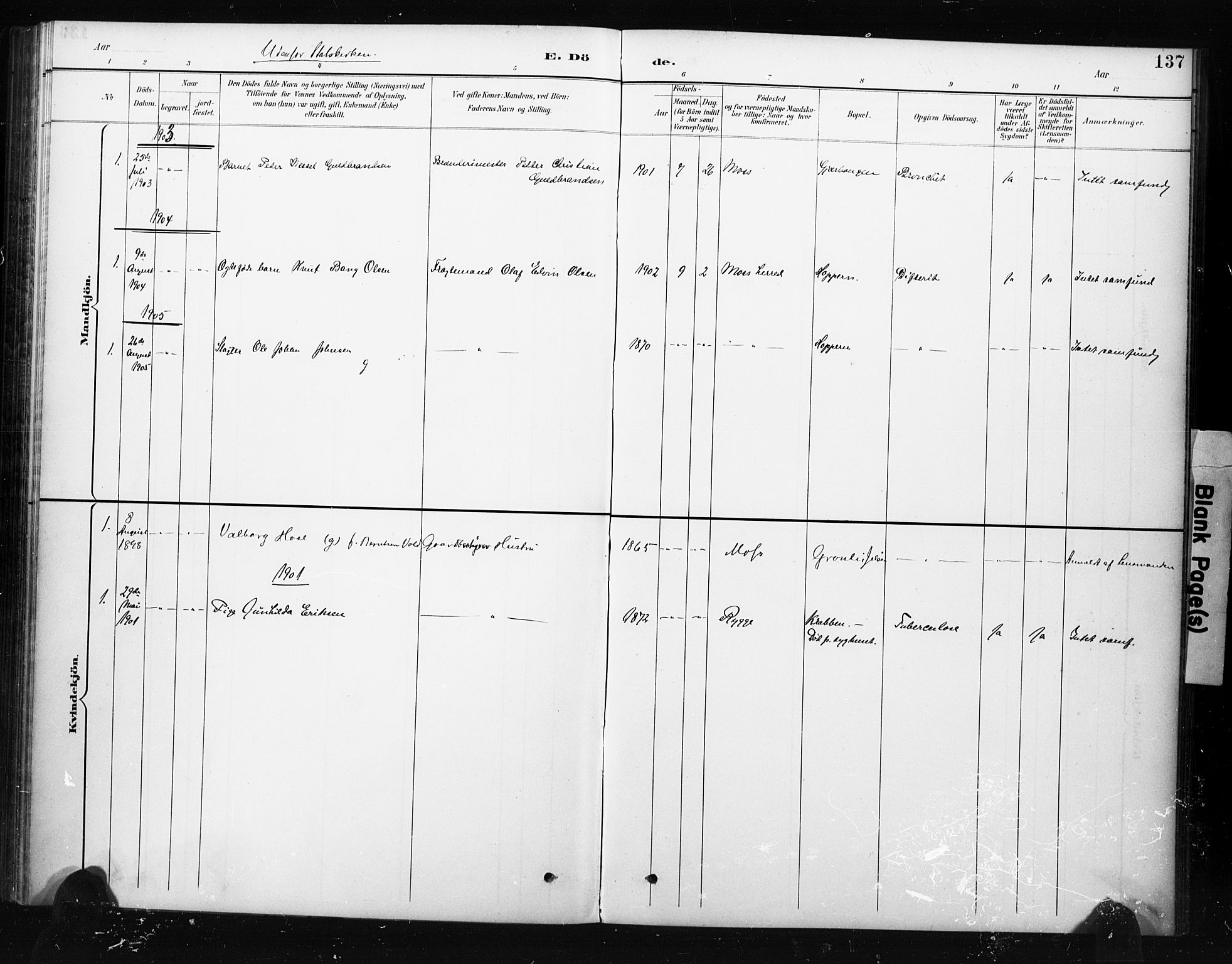 Moss prestekontor Kirkebøker, AV/SAO-A-2003/F/Fc/L0002: Parish register (official) no. III 2, 1894-1906, p. 137