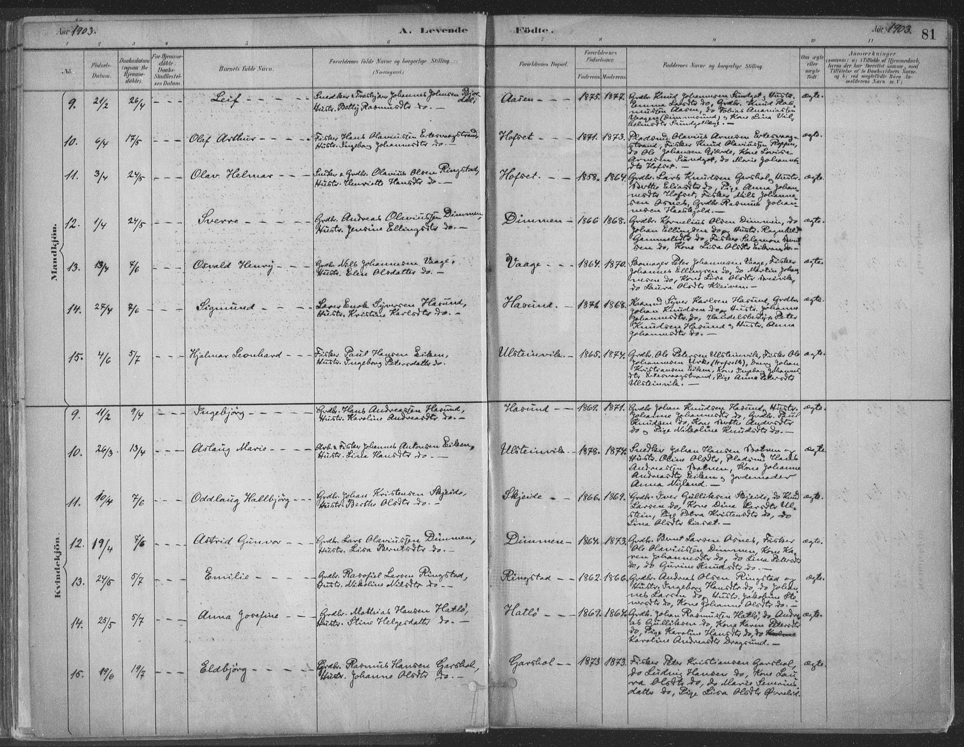 Ministerialprotokoller, klokkerbøker og fødselsregistre - Møre og Romsdal, SAT/A-1454/509/L0106: Parish register (official) no. 509A04, 1883-1922, p. 81