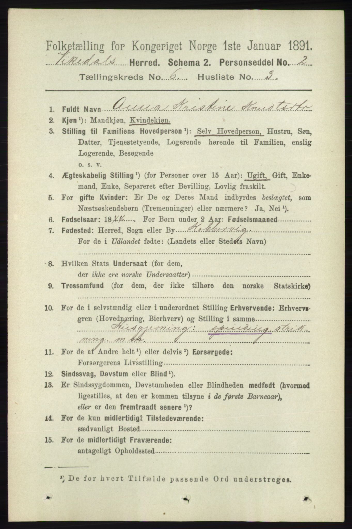 RA, 1891 census for 1157 Vikedal, 1891, p. 1582