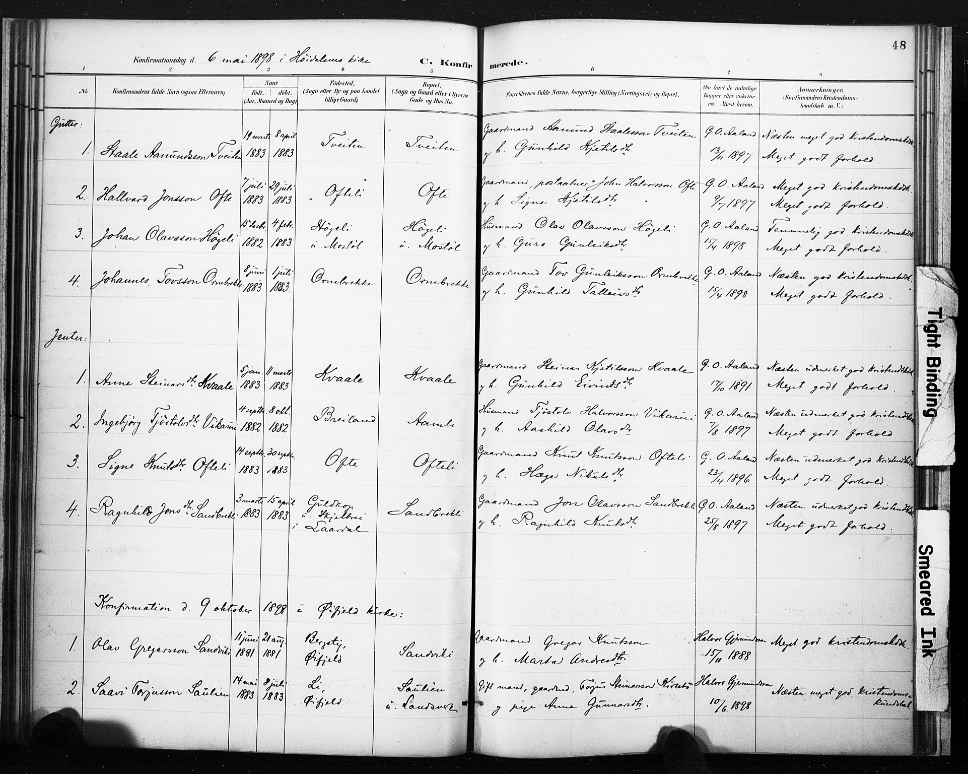 Lårdal kirkebøker, SAKO/A-284/F/Fc/L0002: Parish register (official) no. III 2, 1887-1906, p. 48