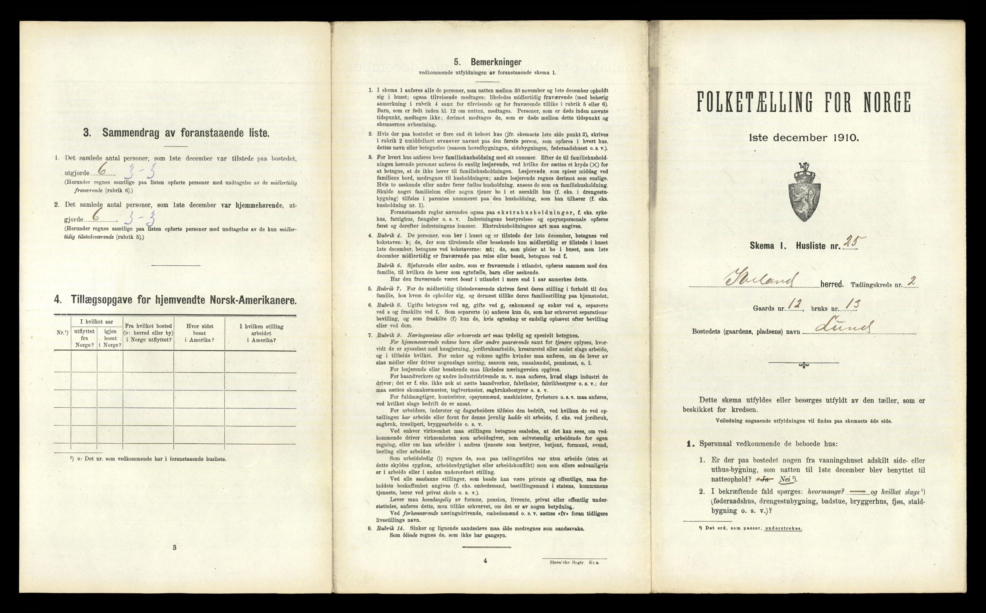 RA, 1910 census for Iveland, 1910, p. 115