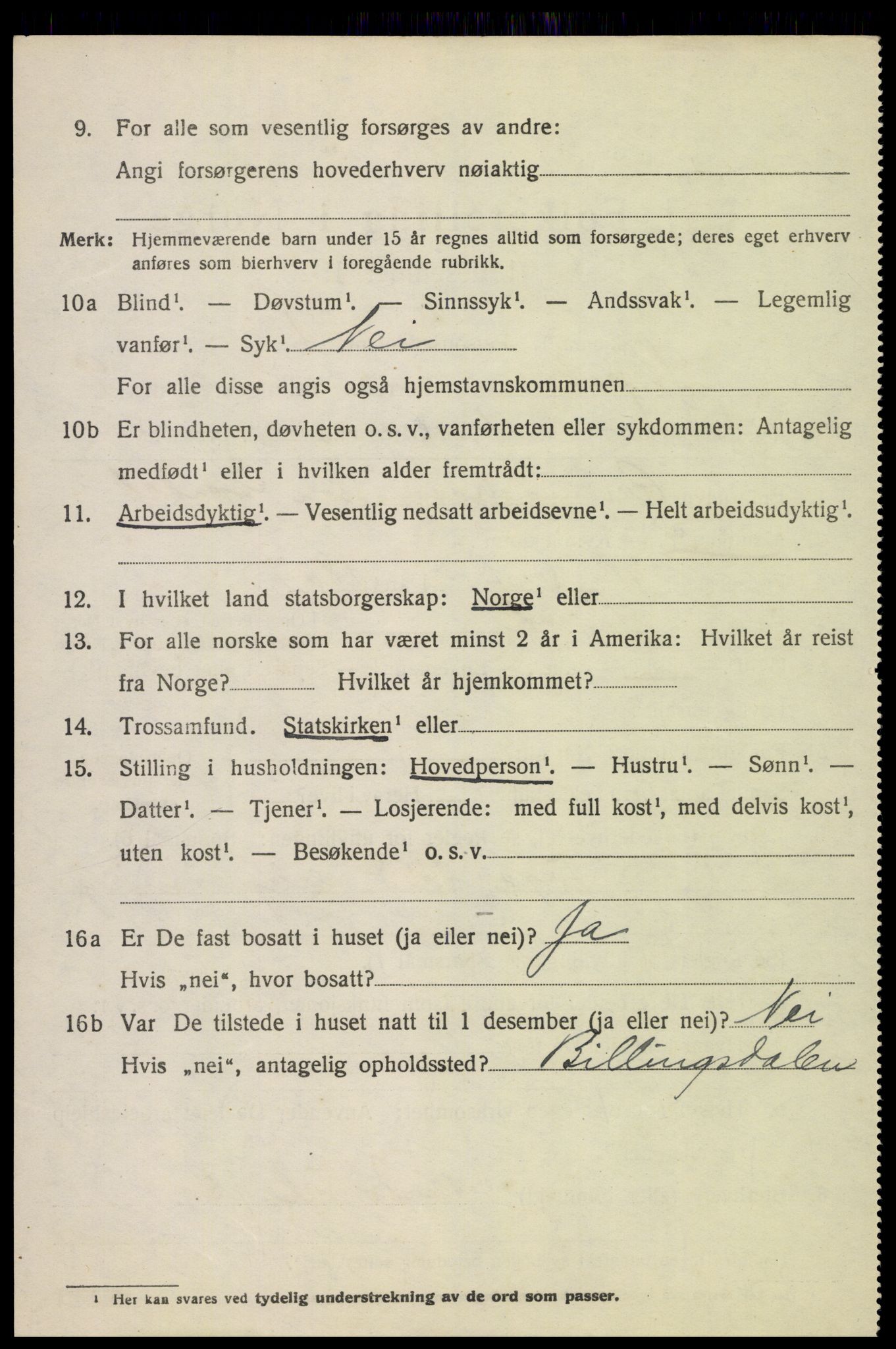 SAH, 1920 census for Skjåk, 1920, p. 4267