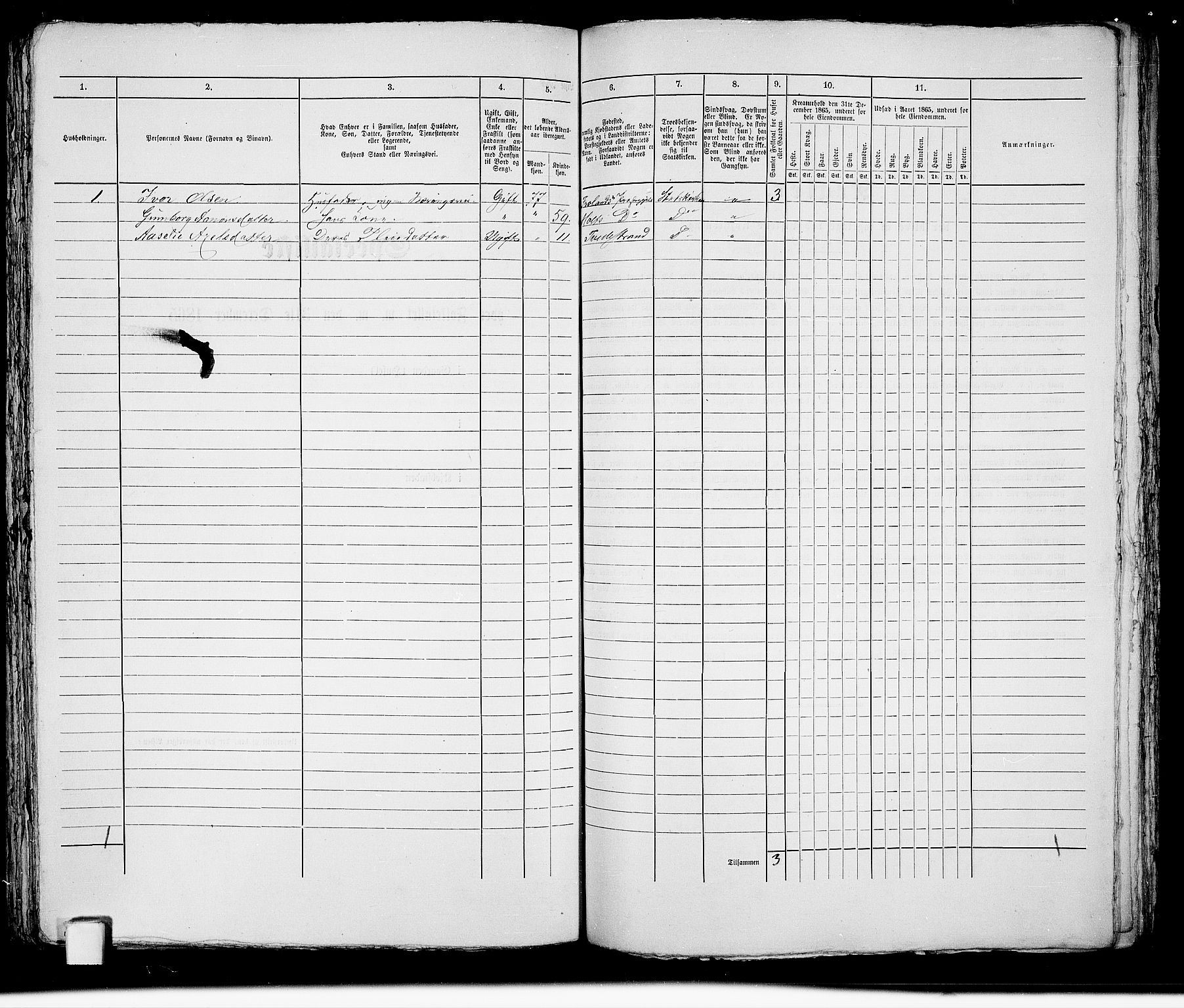 RA, 1865 census for Holt/Tvedestrand, 1865, p. 247