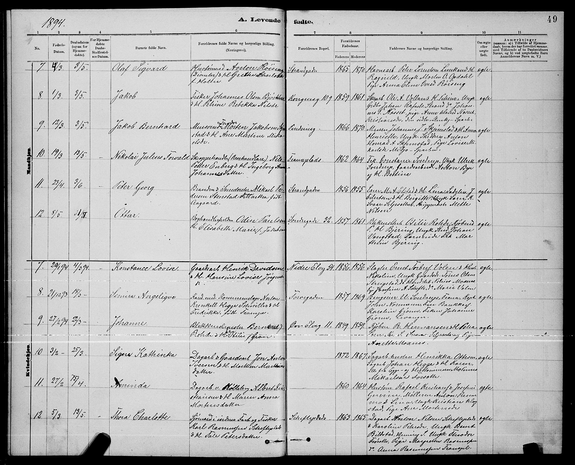 Ministerialprotokoller, klokkerbøker og fødselsregistre - Nord-Trøndelag, SAT/A-1458/739/L0374: Parish register (copy) no. 739C02, 1883-1898, p. 49