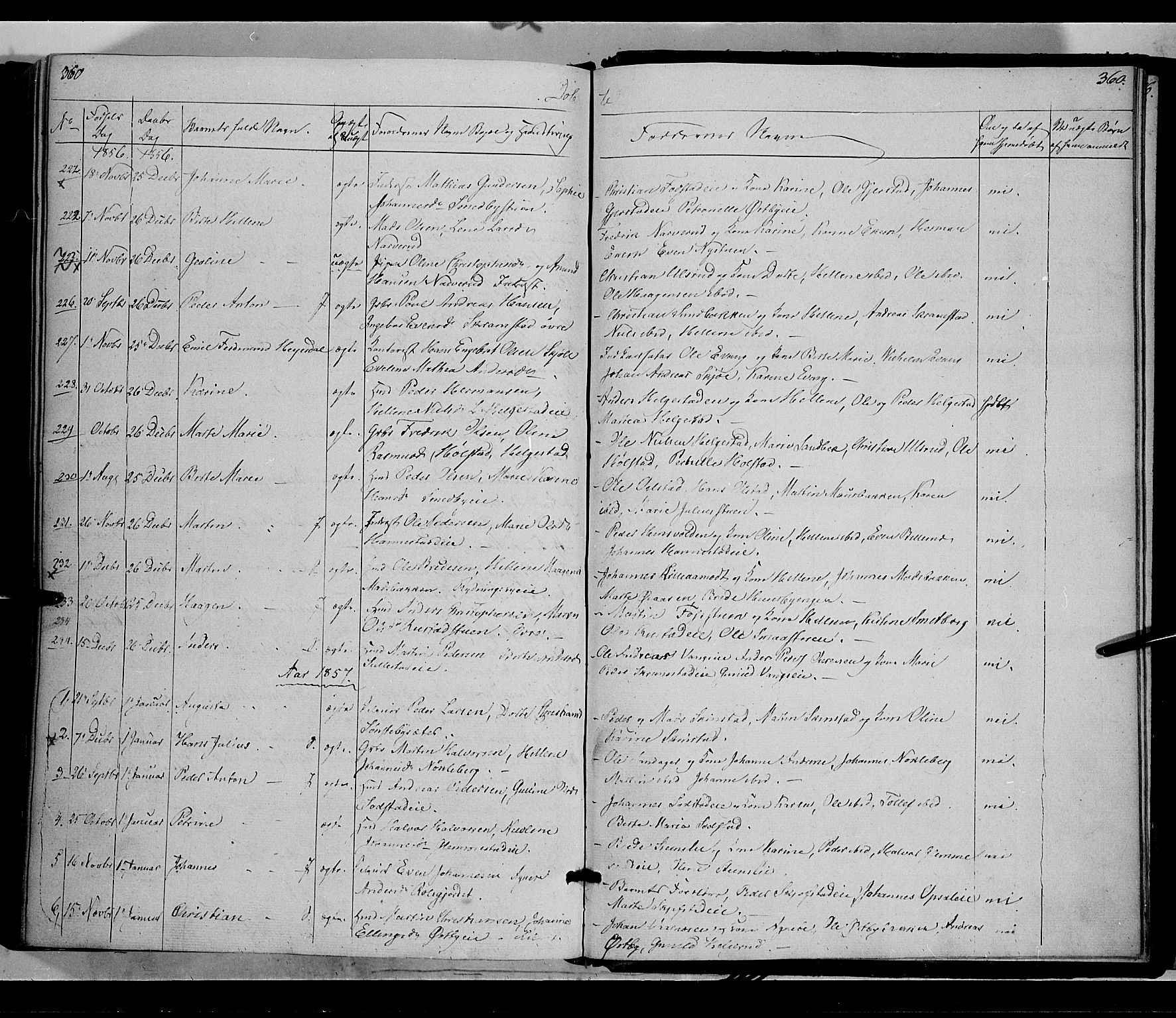 Østre Toten prestekontor, AV/SAH-PREST-104/H/Ha/Haa/L0003: Parish register (official) no. 3, 1848-1856, p. 360