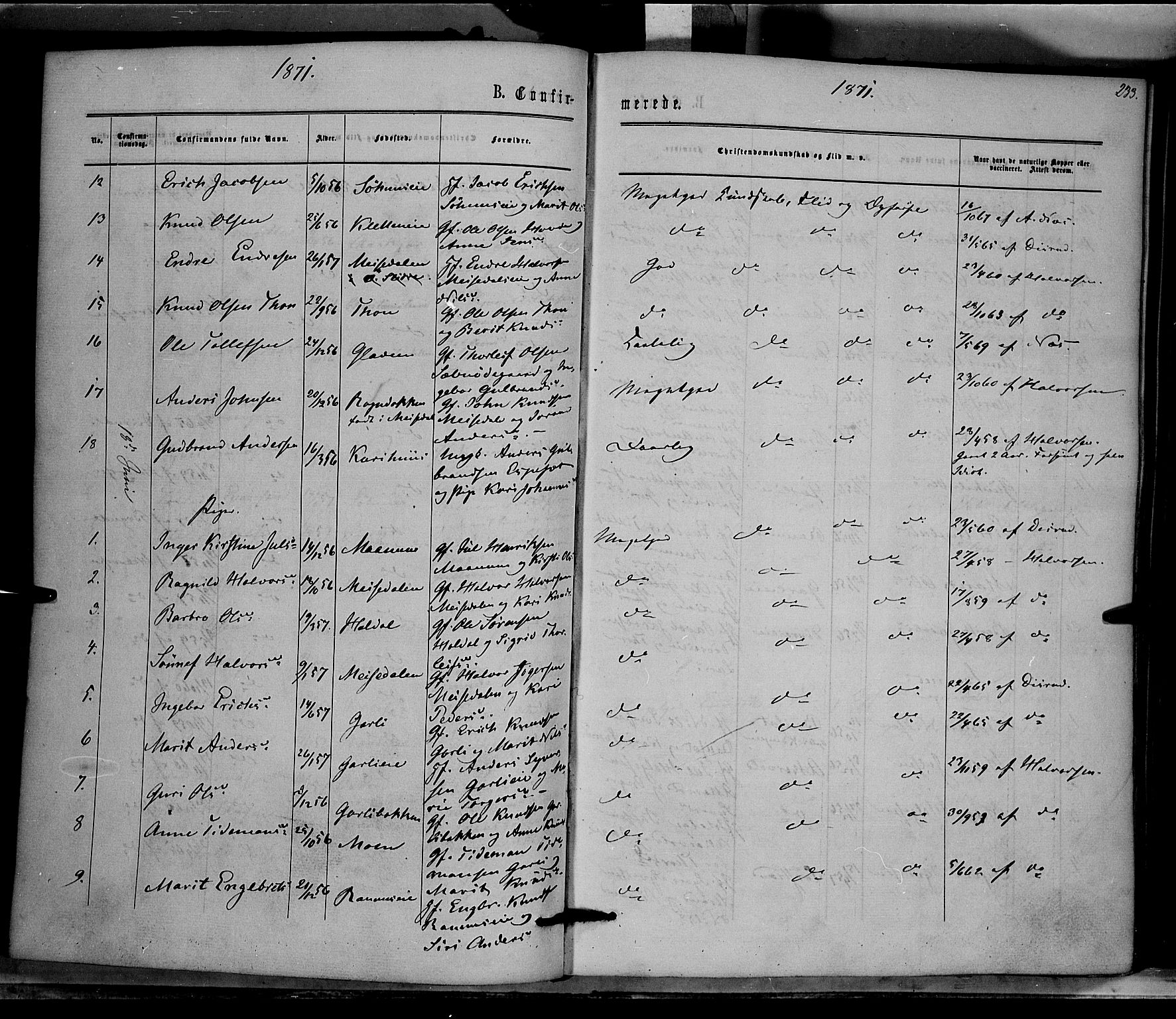 Nord-Aurdal prestekontor, AV/SAH-PREST-132/H/Ha/Haa/L0008: Parish register (official) no. 8, 1863-1875, p. 233