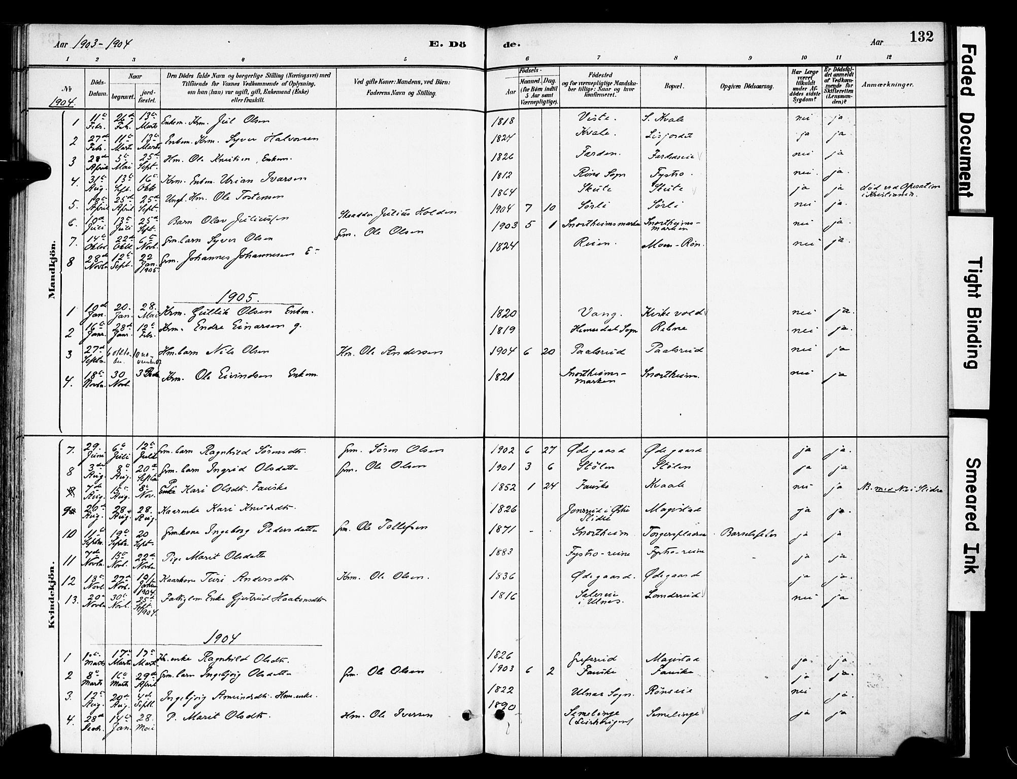 Vestre Slidre prestekontor, SAH/PREST-136/H/Ha/Haa/L0006: Parish register (official) no. 6, 1881-1912, p. 132