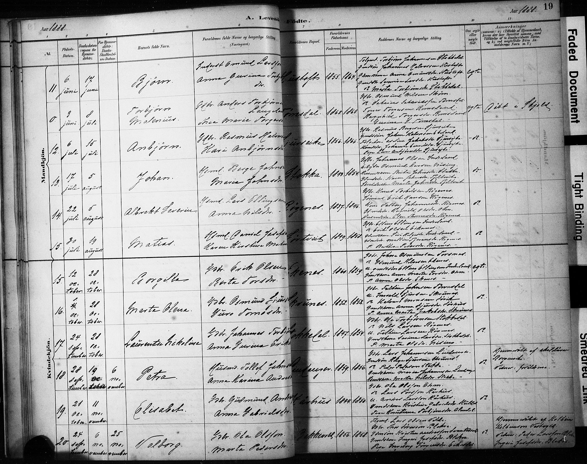 Skjold sokneprestkontor, AV/SAST-A-101847/H/Ha/Haa/L0009: Parish register (official) no. A 9, 1882-1898, p. 19