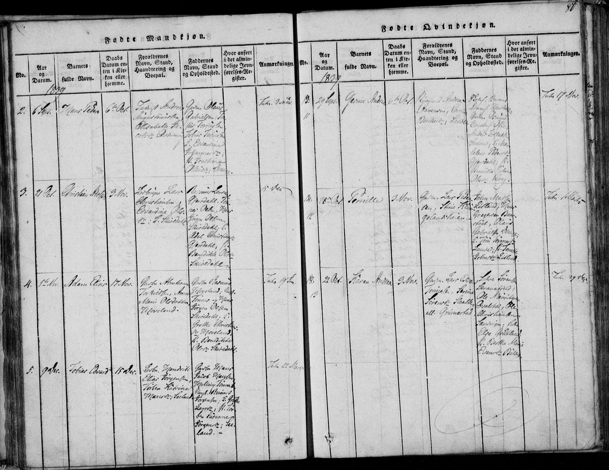 Herad sokneprestkontor, AV/SAK-1111-0018/F/Fa/Faa/L0003: Parish register (official) no. A 3, 1816-1844, p. 80